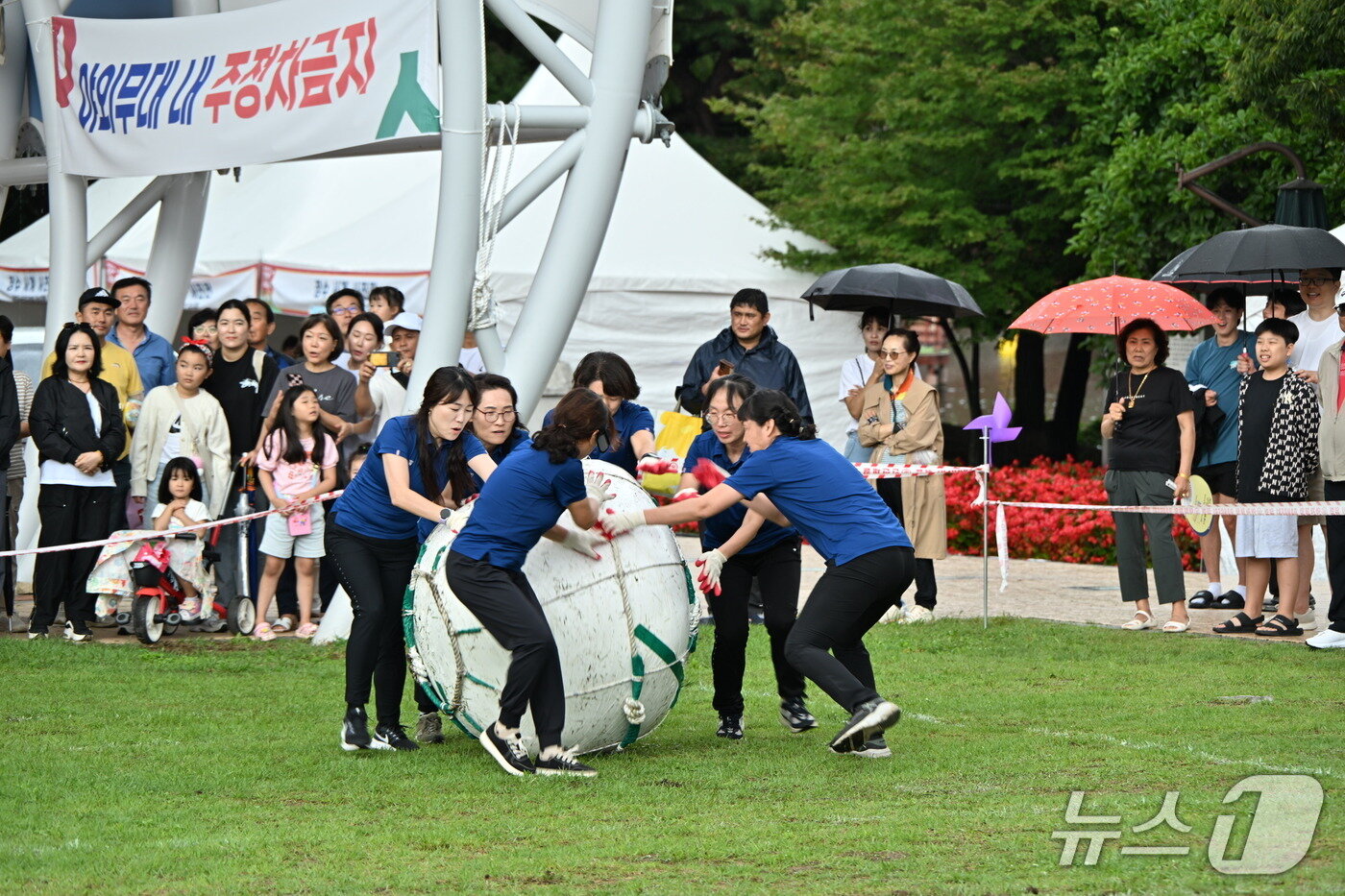 본문 이미지 - 제19회 장수 한우랑 사과랑 축제&#39;에서 곤포나르기 대회가  열리고 있다.&#40;장수군 제공. 재판매 및 DB금지&#41;2025.9.21/뉴스1
