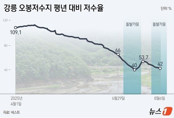 본문 이미지 - ⓒ News1 윤주희 디자이너