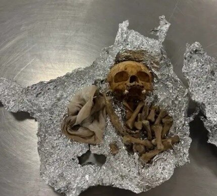 본문 이미지 - 불법 식물과 담배 등과 함께 싸여있던 유해(뉴욕포스트 갈무리) 