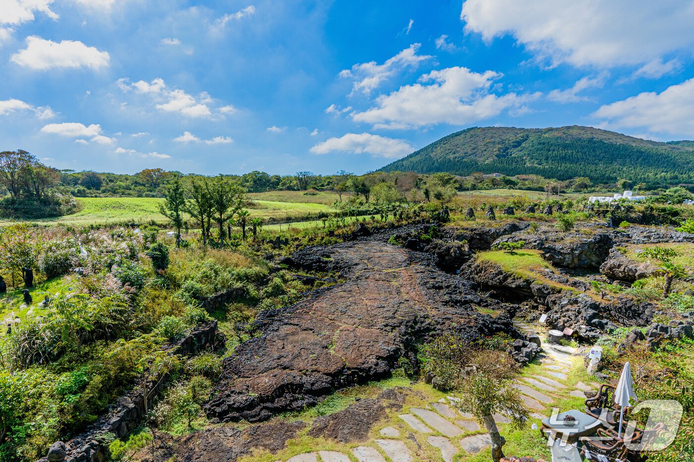본문 이미지 - 파파빌레.&#40;제주관광공사 제공, 재판매 및 DB 금지&#41;
