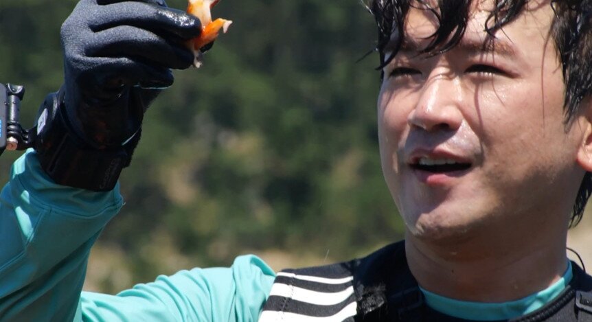 본문 이미지 - MBC