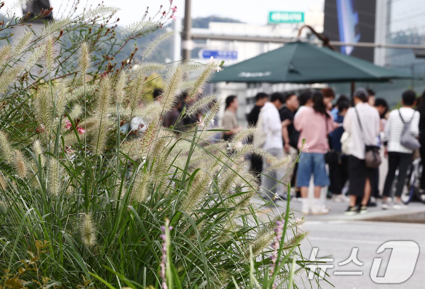 본문 이미지 - 초가을 날씨를 보인 22일 오전 서울 광화문 세종대로 사거리에서 시민들이 발걸음을 옮기고 있다. 2025.9.22/뉴스1 ⓒ News1 김민지 기자