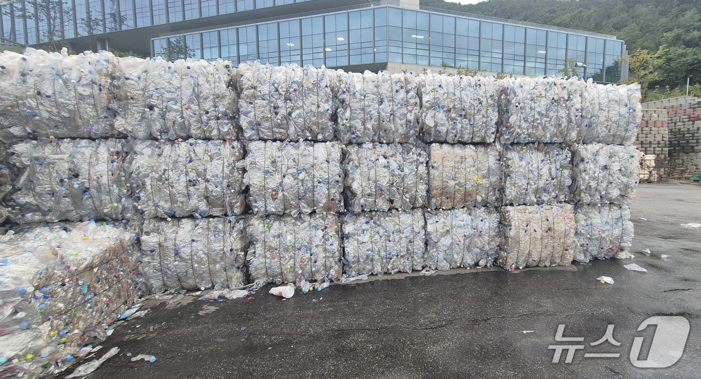 본문 이미지 - 강릉시자원순환센터 내 투명페트병 압축 보관 전경.&#40;강릉시 제공, 재판매 및 DB 금지&#41; 2025.9.22/뉴스1