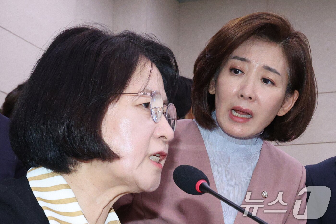 본문 이미지 - 나경원 국민의힘 의원이  지난 22일 서울 여의도 국회 법제사법위원회에서 열린 검찰개혁 입법청문회에서 퇴장 명령을 한 추미애 위원장에게 항의하고 있다. 2025.9.22/뉴스1 ⓒ News1 신웅수 기자