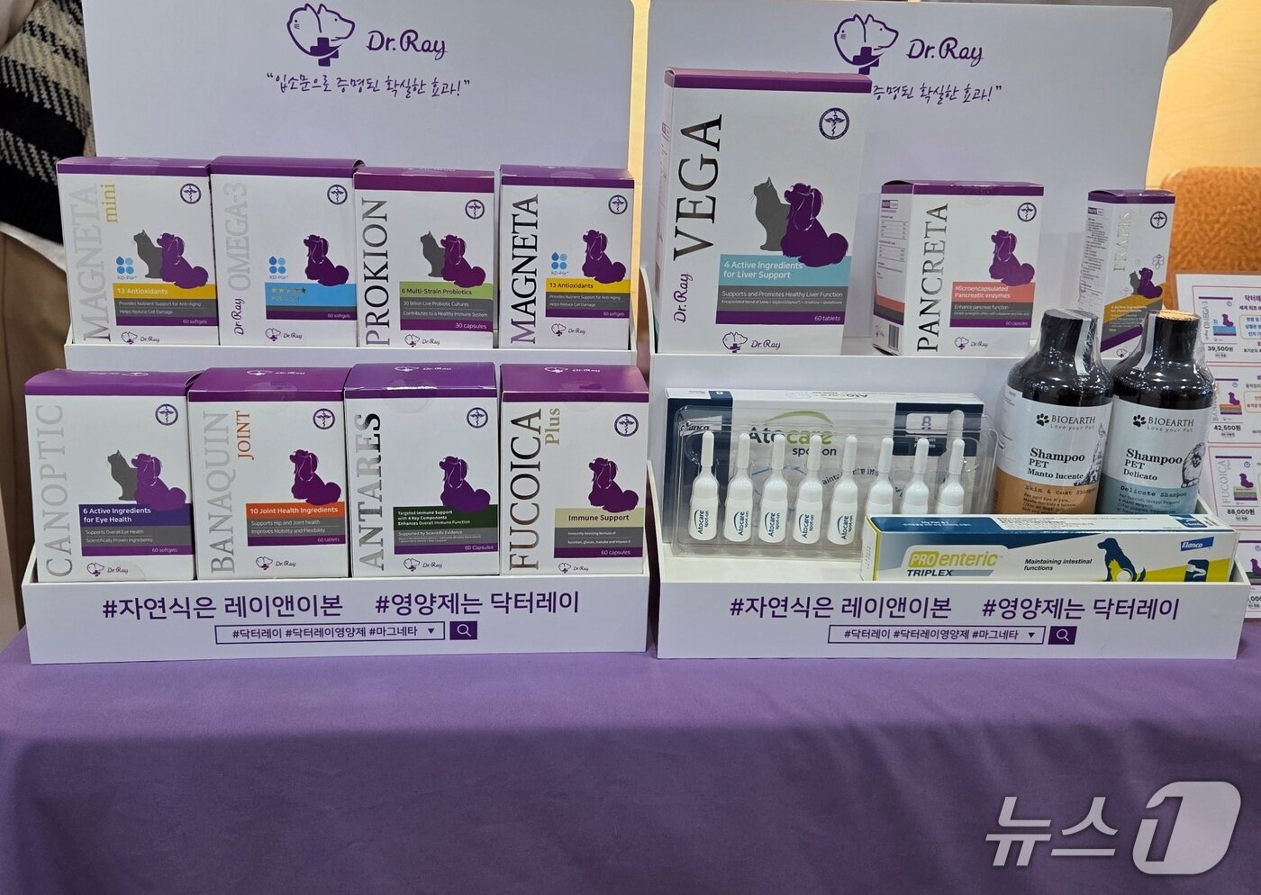 본문 이미지 - 한국반려동물영양연구소 영양제(보조제) 브랜드 '닥터레이' ⓒ 뉴스1