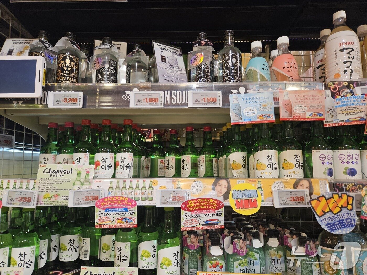 본문 이미지 - 19일 일본 도쿄 시부야에 위치한 메가 돈키호테에 한국 상품들이 진열돼 있다.ⓒ 뉴스1/김진희 기자.