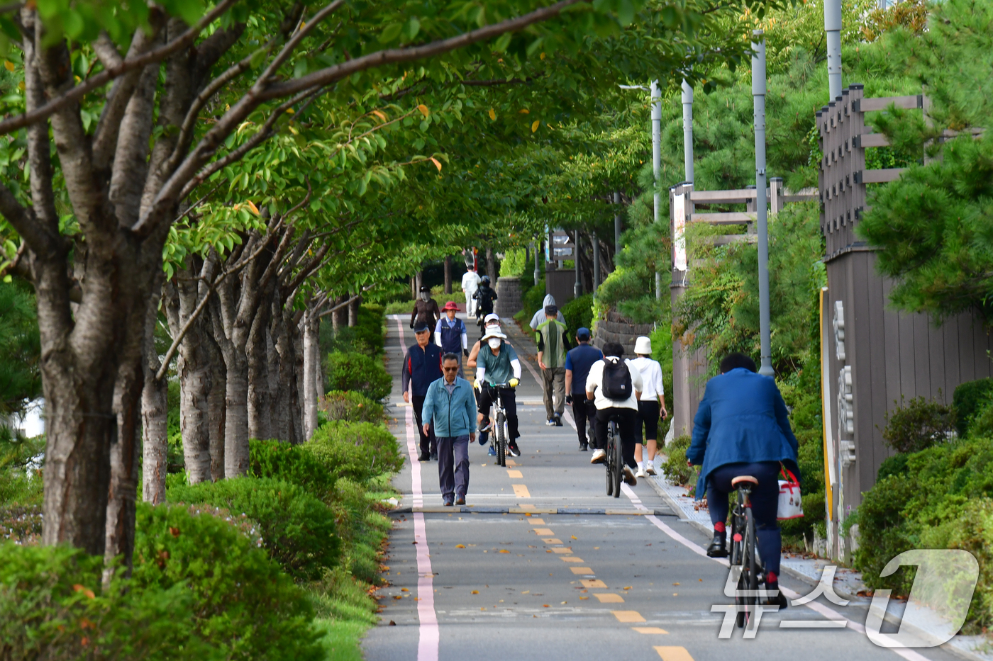 (포항=뉴스1) 최창호 기자 = 완연한 가을날씨를 보인 23일 경북  포항시 남구 철길 숲에서 긴팔 차림의 시민들이 숲길을 따라 산책하고 있다. 2025.9.23/뉴스1