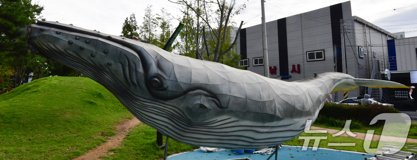 (포항=뉴스1) 최창호 기자 = 23일 경북  포항시 남구 철길 숲에 귀신고래 모형이 설치되고 있다.고래 모형은 오는 26~27일부터 열리는 '철길숲 야행' 행사 때  고래 내부에 …