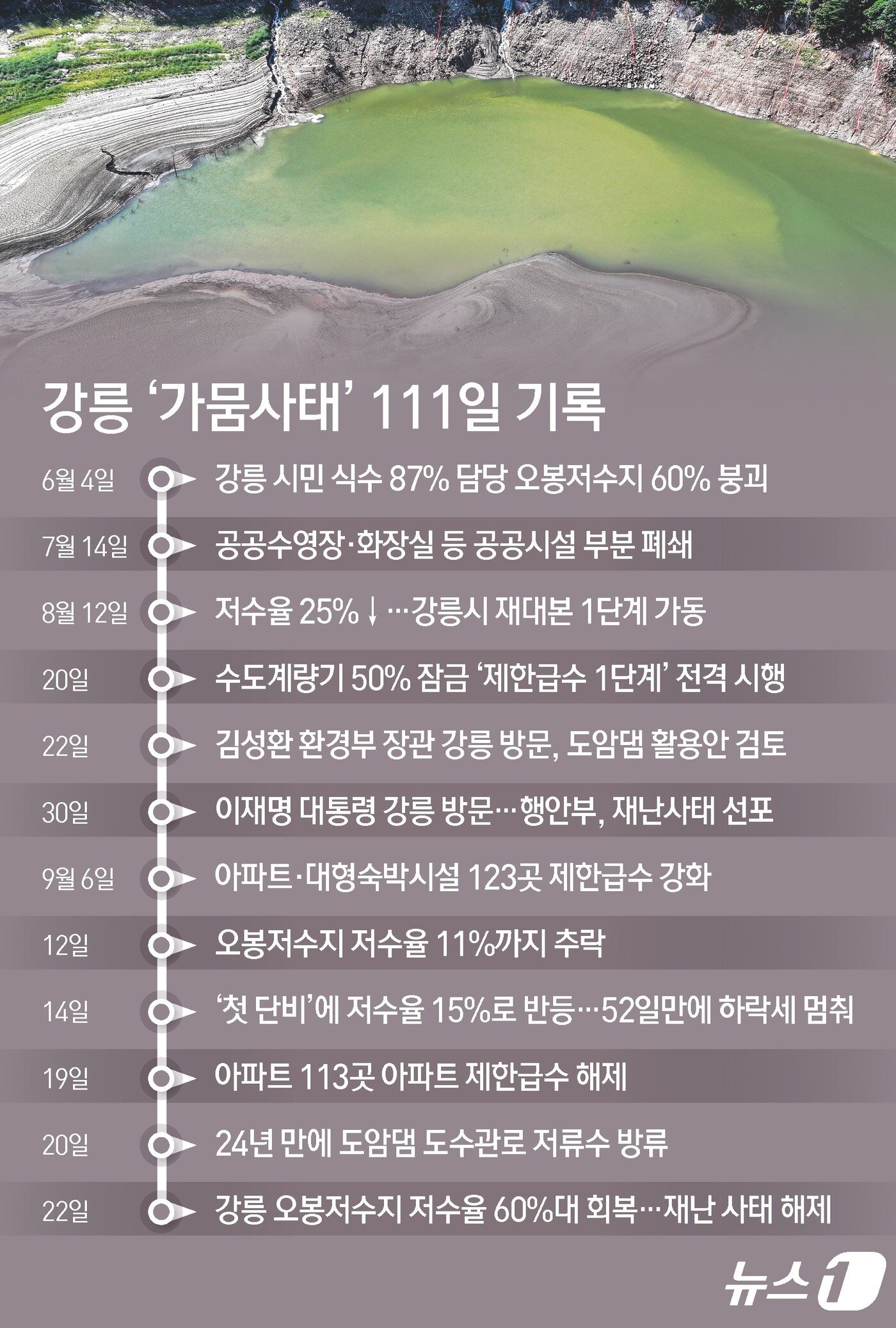 본문 이미지 - ⓒ News1 김초희 디자이너