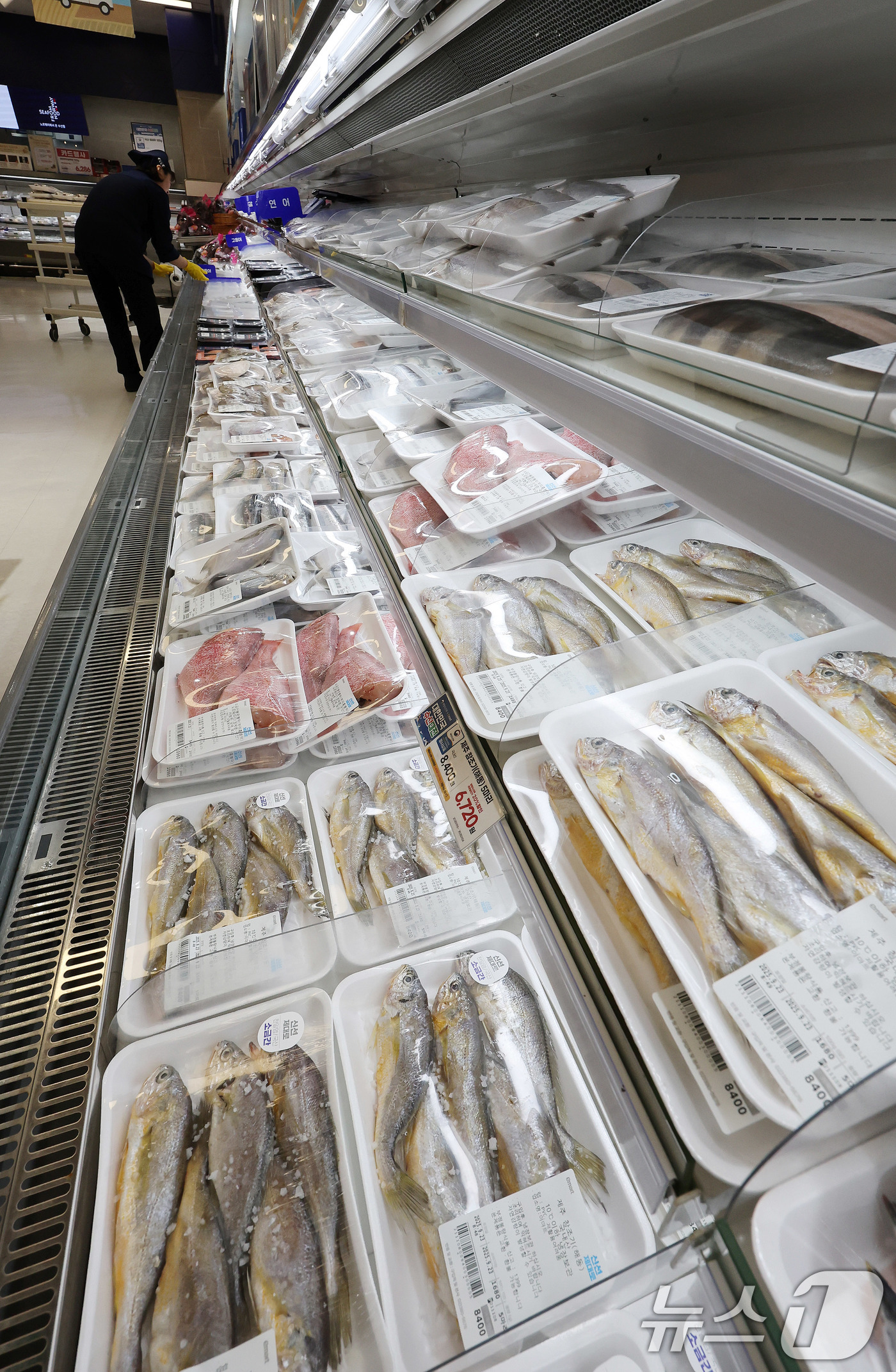 (서울=뉴스1) 박지혜 기자 = 23일 서울의 한 대형마트에 조기가 진열돼 있다.이날 한국은행에 따르면 8월 생산자물가지수는 120.12로 전월 대비 0.1% 하락했다. 생산자물가 …