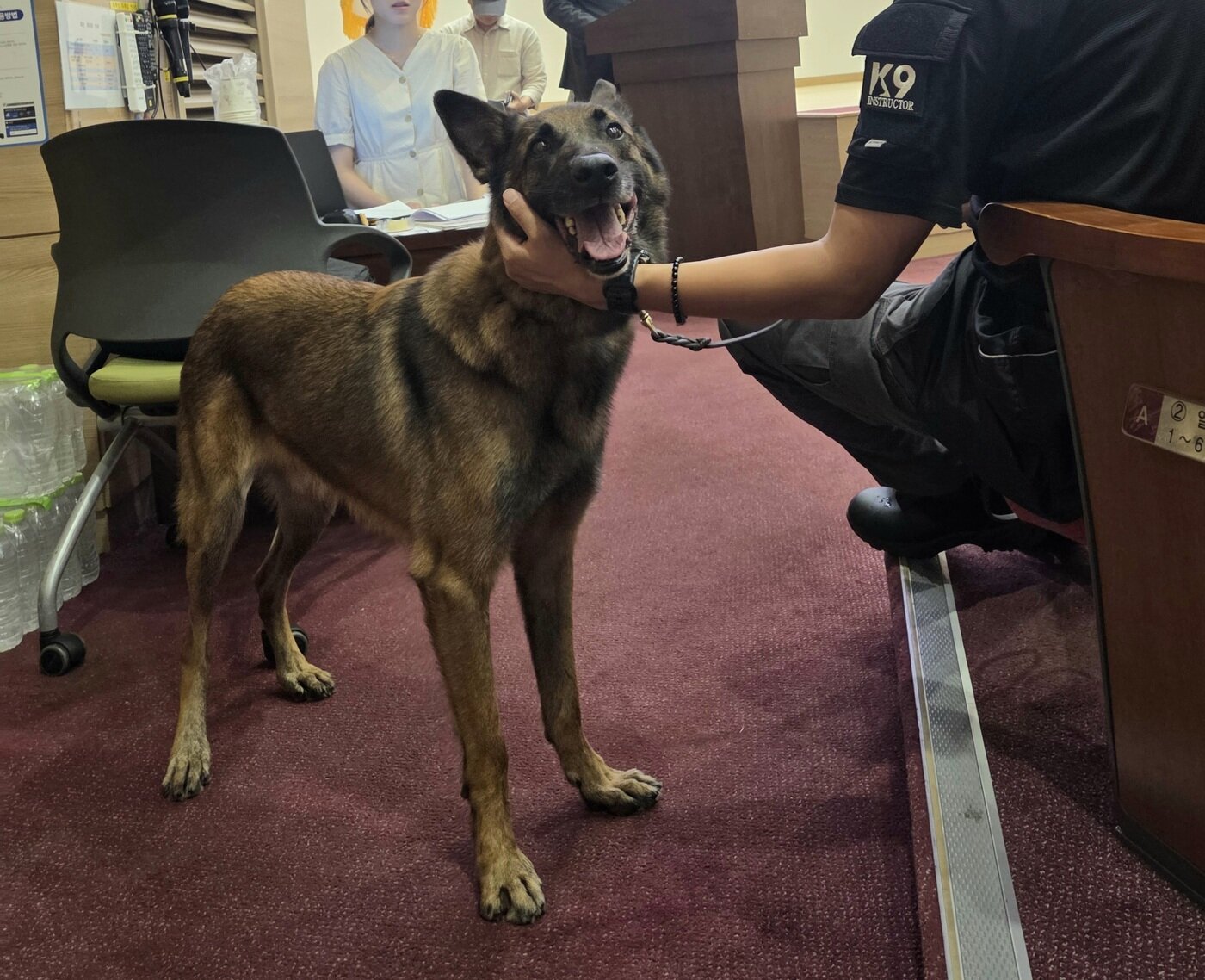 본문 이미지 - 23일 국회의원회관에서 열린 봉사동물 지원 위한 국회정책포럼에 국가봉사견이 담당 교관과 함께 참석한 모습 ⓒ 뉴스1 한송아 기자