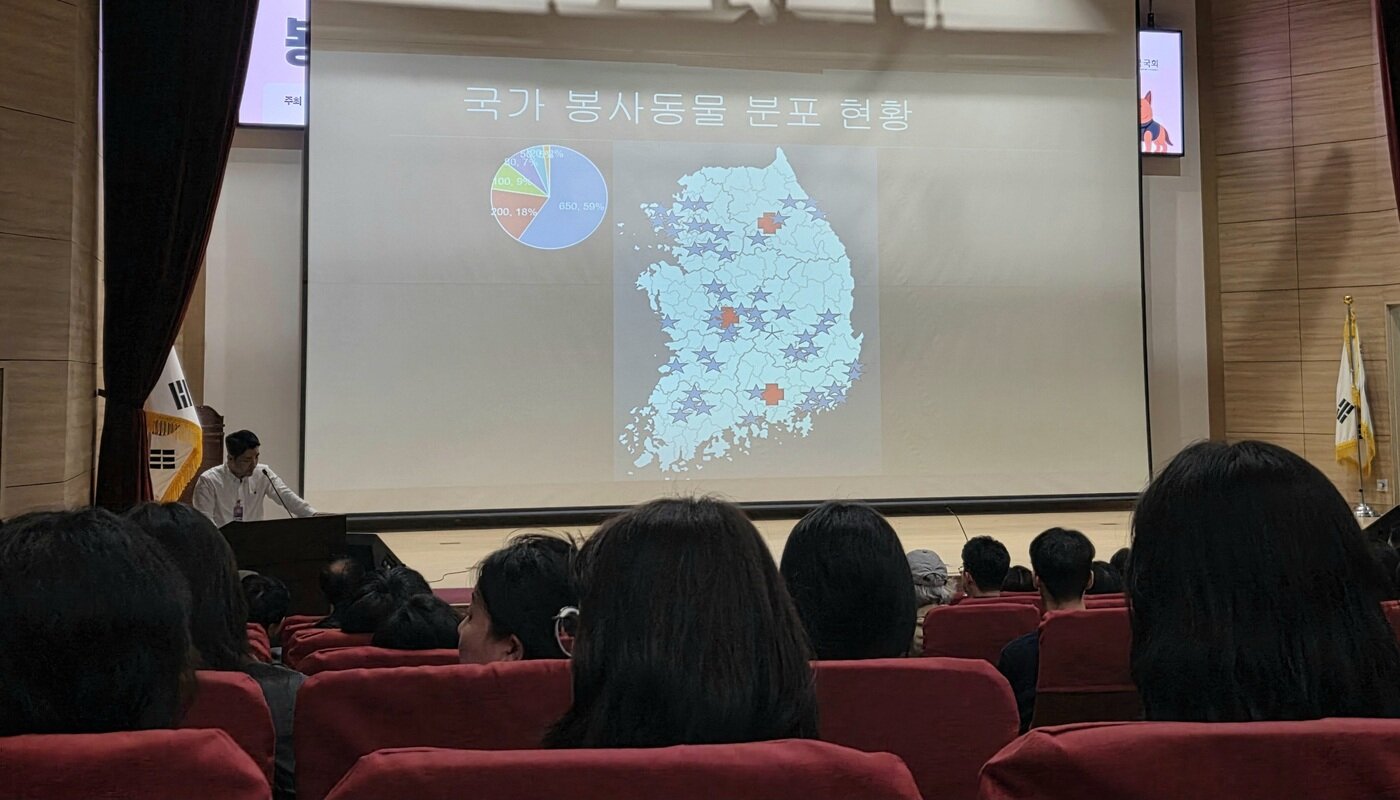 본문 이미지 - 박경국 국군의학연구소 수의사는 현재 전국에 단 3곳의 기관에서 국가 봉사동물의 의료를 담당하고 있다며 국가 봉사동물 공공의료 체계 강화를 제안했다. ⓒ 뉴스1 한송아 기자