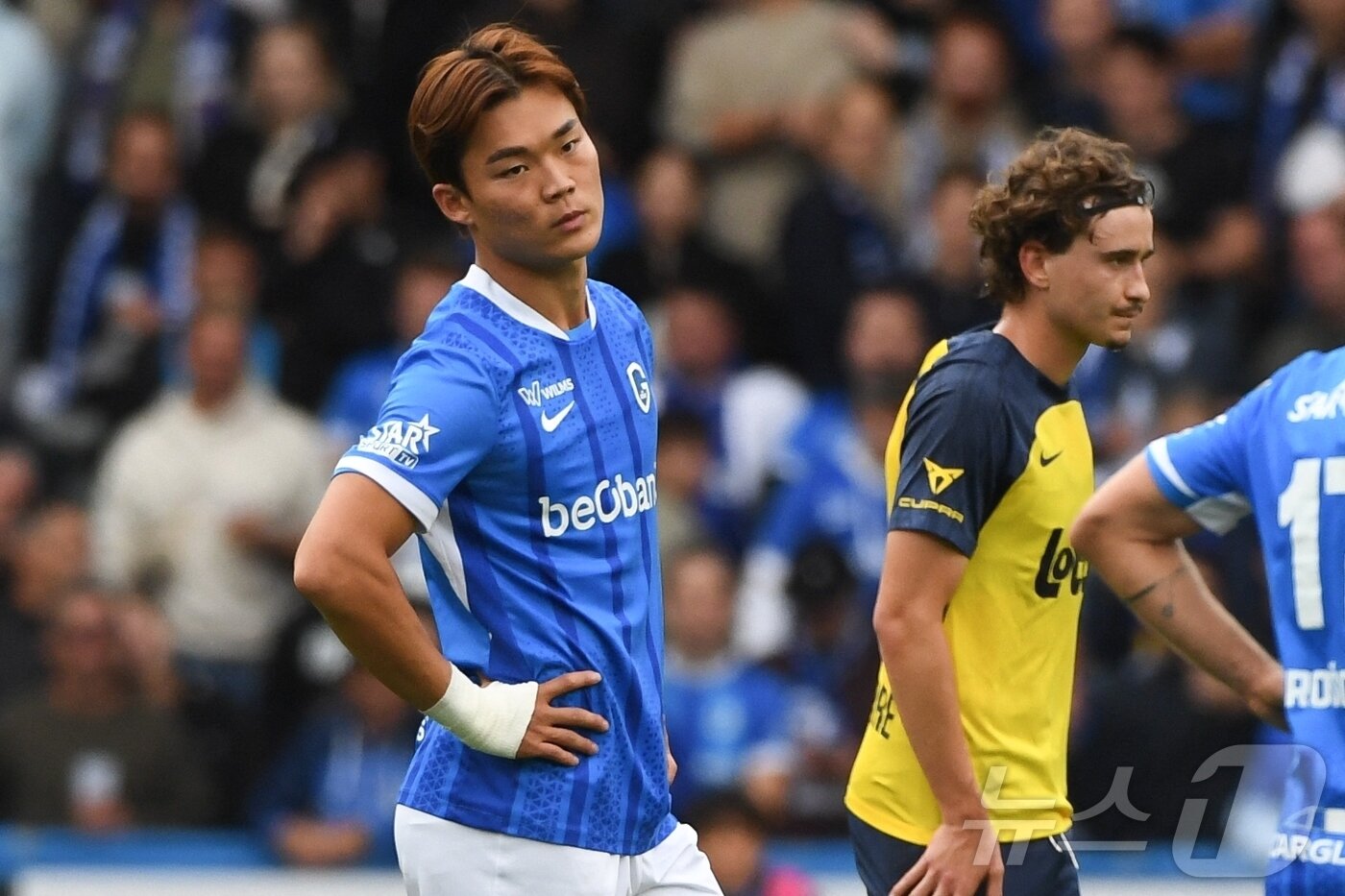 본문 이미지 - 헹크 공격수 오현규. ⓒ AFP=뉴스1