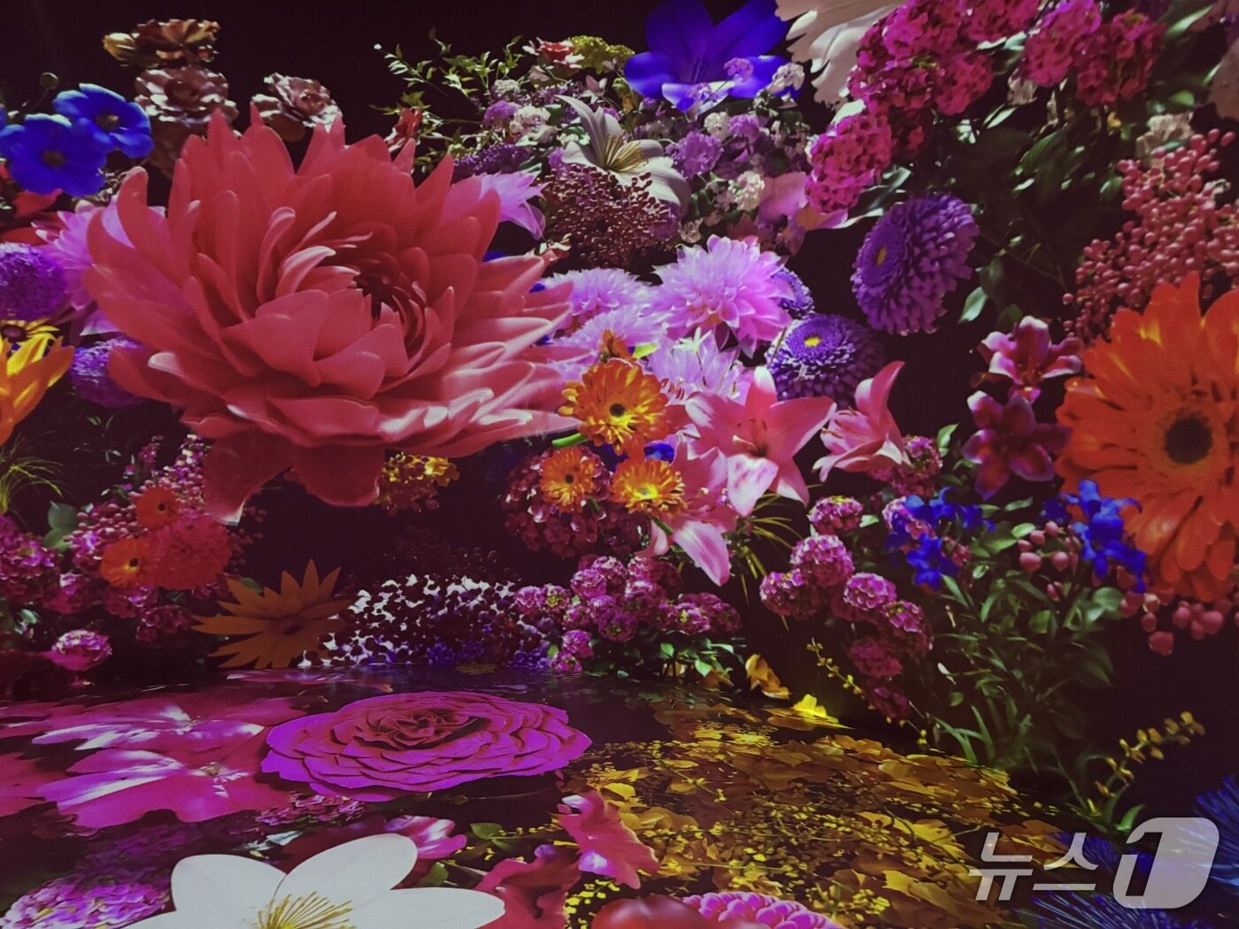 본문 이미지 - 하이트진로 강원공장 견학로에 마련된 360도 LED 영상관/뉴스1 ⓒ News1 이강 기자