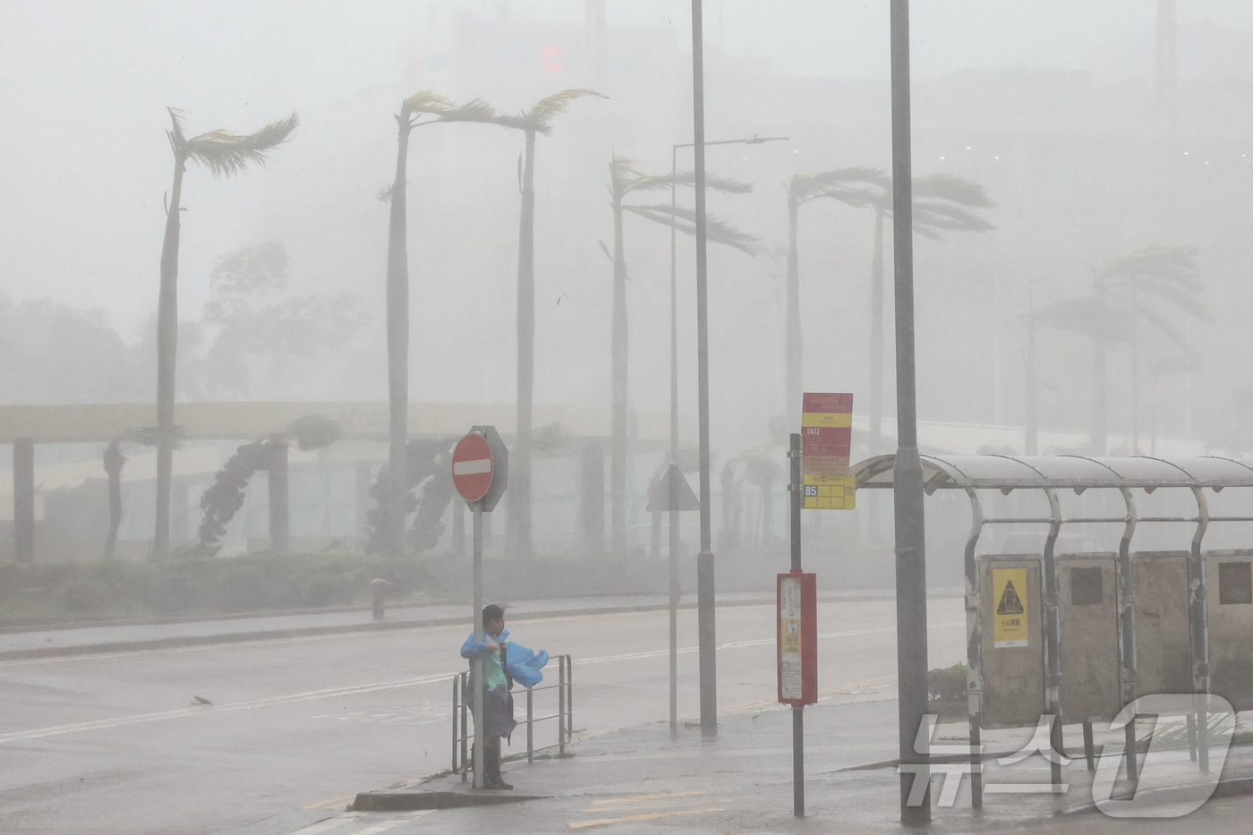 (홍콩 로이터=뉴스1) 권준언 기자 = 24일(현지시간) 홍콩에서 한 여성이 태풍 라가사의 강풍에 맞서 교통 표지판을 붙잡고 균형을 잡고 있다. 2025.09.24.ⓒ 로이터=뉴스 …