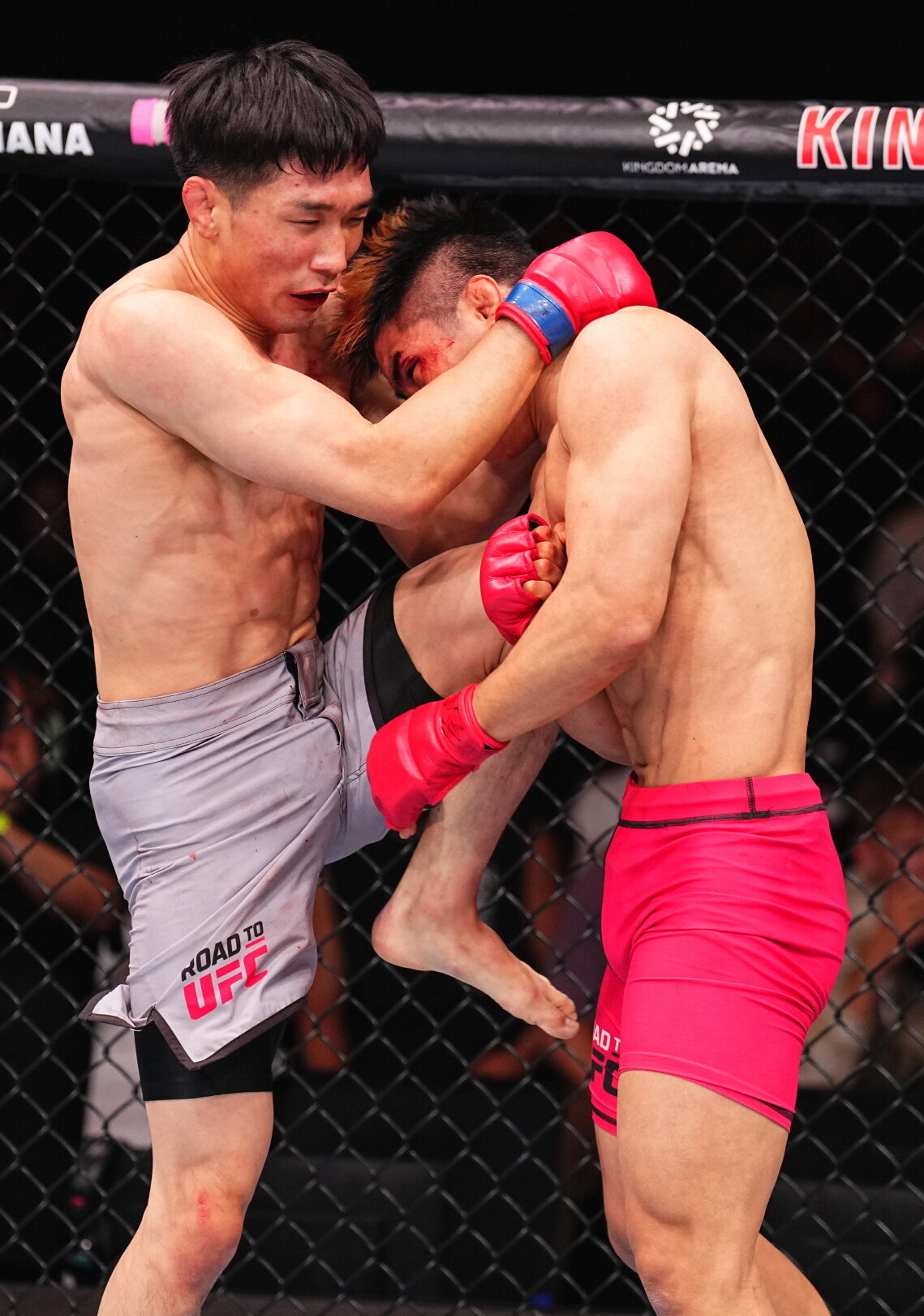 본문 이미지 - 이창호&#40;왼쪽&#41;의 경기 모습.&#40;UFC 제공&#41;