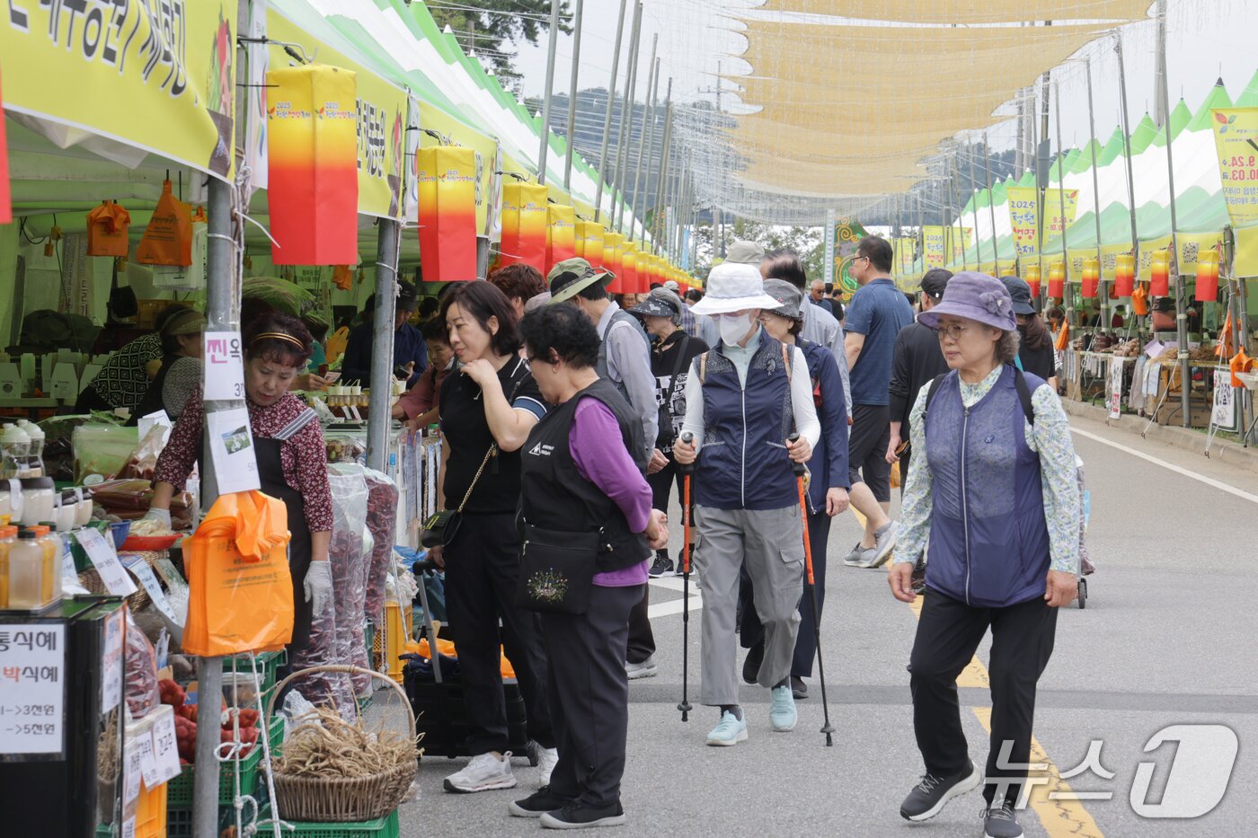 본문 이미지 - 24일 개막한 &#39;2025 청원생명축제&#39;에 많은 인파가 몰려 있다.&#40;청주시 제공. 재판매 및 DB금지&#41;/뉴스1