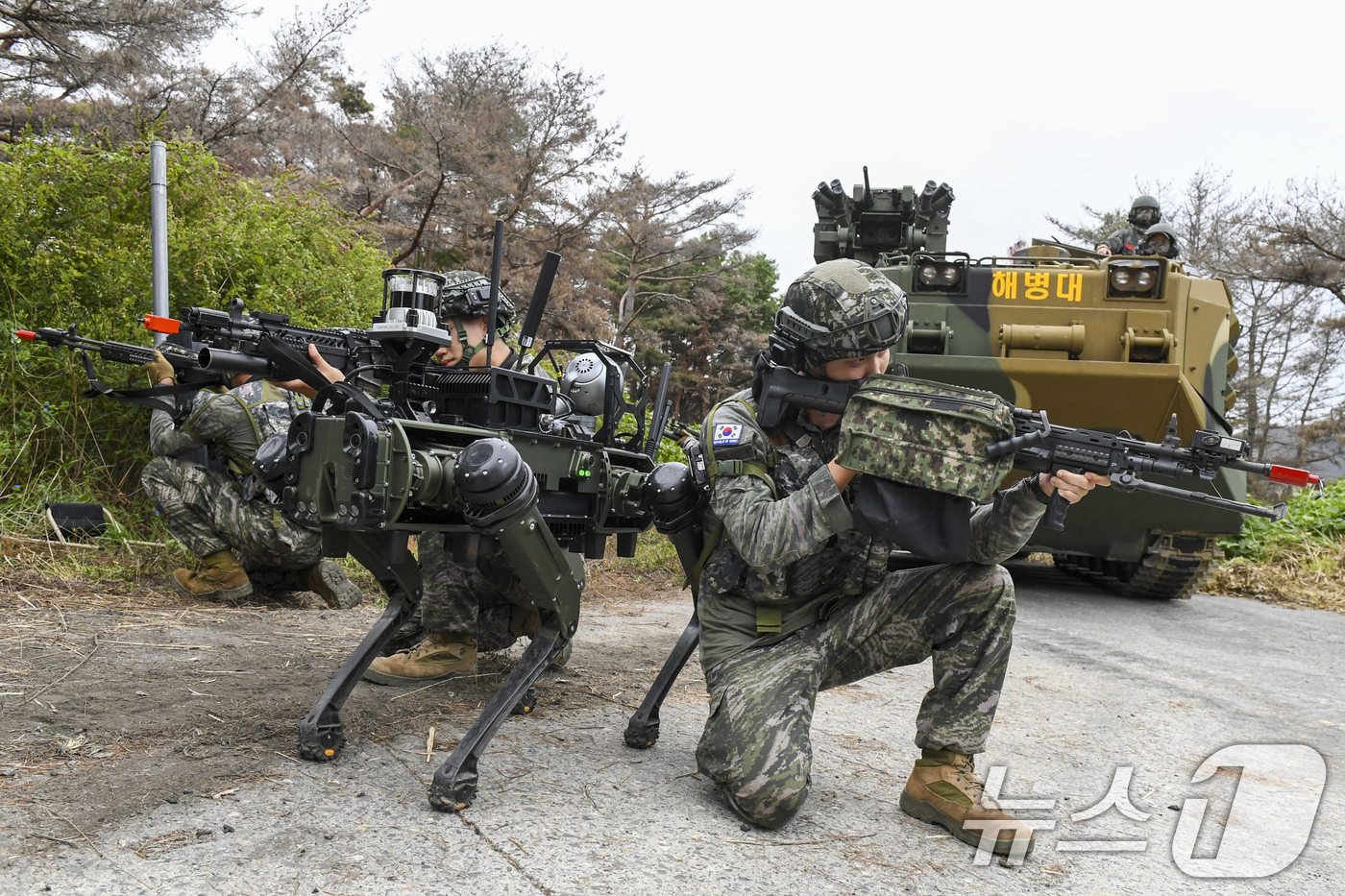 (포항=뉴스1) 최창호 기자 = 24일 해병대 전투실험대대가 경북 포항 정천리 훈련장에서 다족 보행로봇을 활용한 위험지역 작전 간 정찰임무를 수행하고 있다. (해병대사단제공, 재판 …