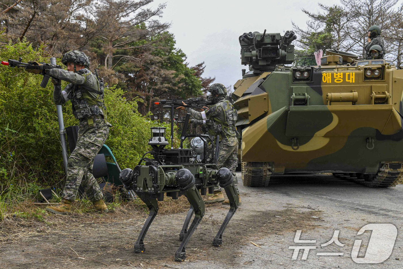 (포항=뉴스1) 최창호 기자 = 24일 해병대 전투실험대대가 경북 포항 정천리 훈련장에서 다족 보행로봇을 활용한 위험지역 작전 간 정찰임무를 수행하고 있다. (해병대사단제공, 재판 …