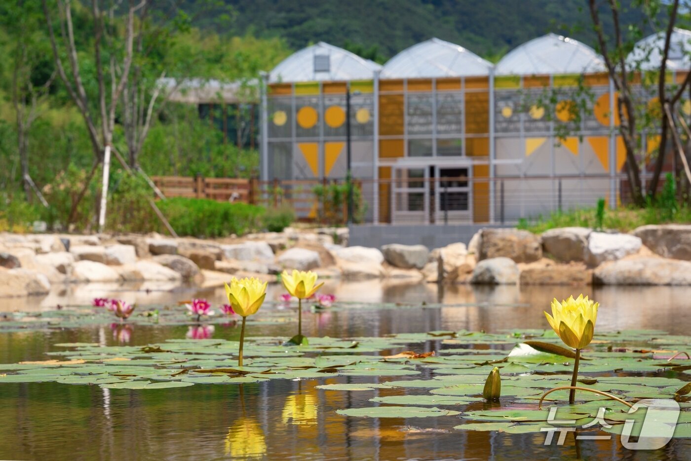 본문 이미지 - 국립정원문화원&#40;한국수목원정원관리원 제공.재판매 및 DB 금지&#41; /뉴스1 