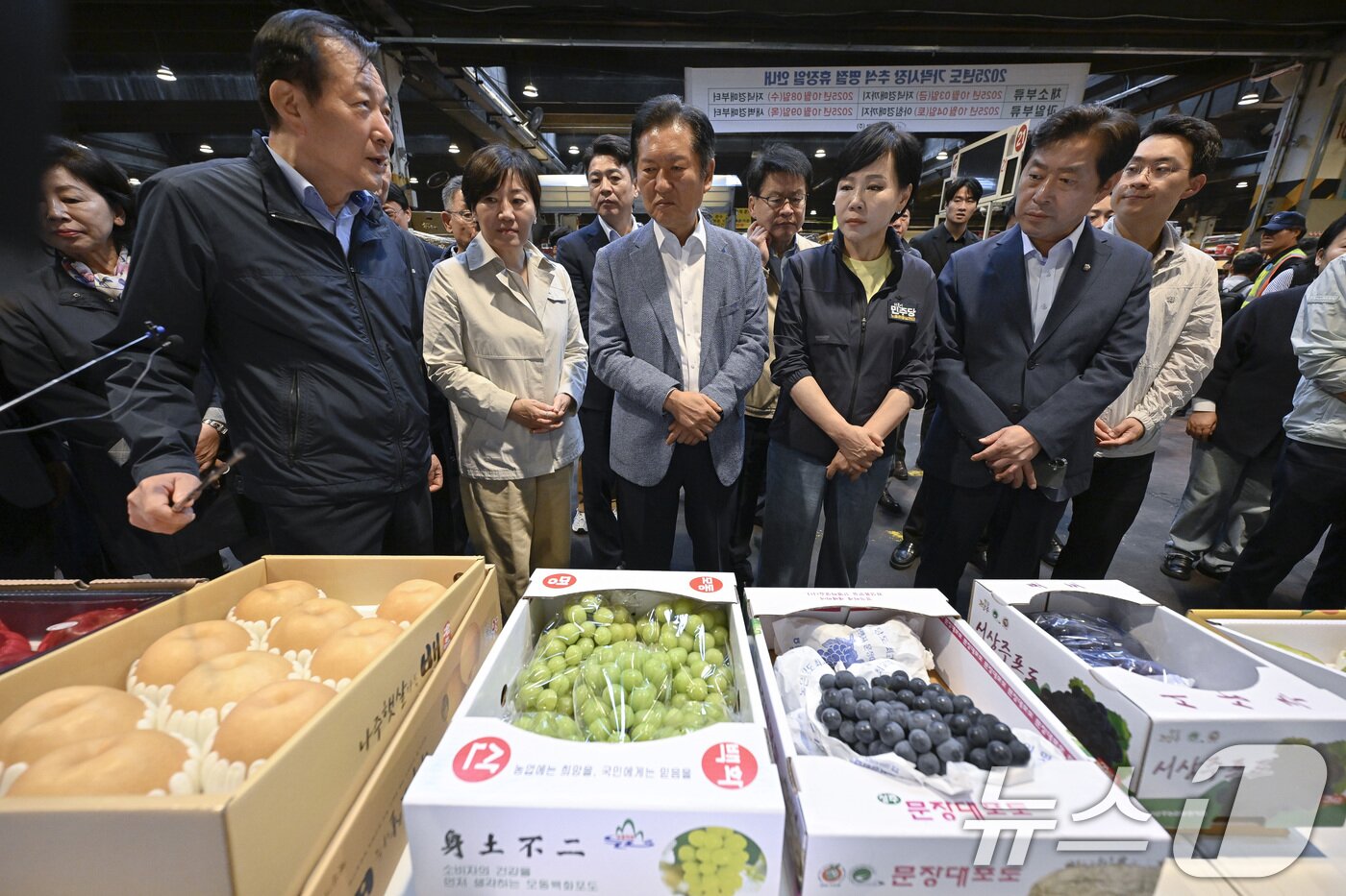 본문 이미지 - 정청래 더불어민주당 대표가 25일 추석맞이 물가점검을 위해 서울 송파구 가락동 농수산물도매시장을 방문해 과일을 살펴보고 있다. 2025.9.25/뉴스1 ⓒ News1 국회사진기자단