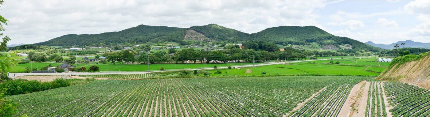 본문 이미지 - 고창 삼태마을숲 전경(국가유산청 제공)