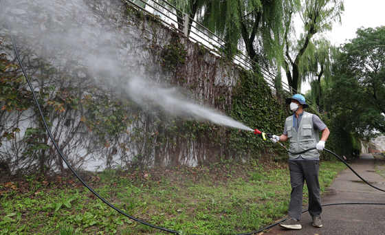 "올해는 '9월'에 모기 많이 잡아…뎅기열 전파할 모기 없었다"