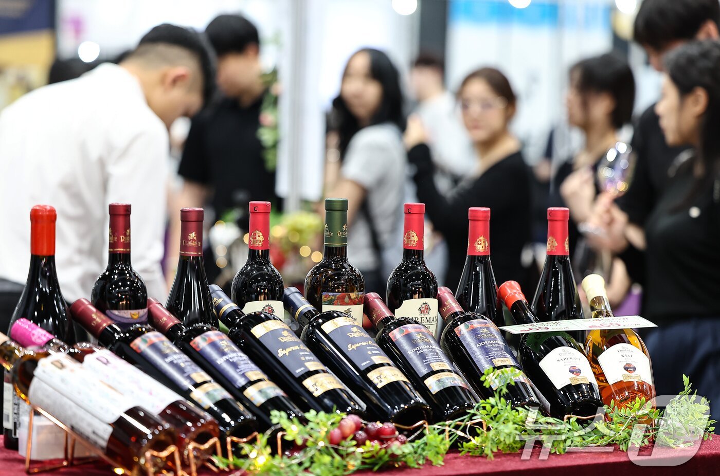 본문 이미지 - 25일 서울 강서구 코엑스 마곡에서 열린 &#39;서울국제주류&와인박람회&#39;에서 관람객들이 와인을 시음하고 있다. 2025.9.25/뉴스1 ⓒ News1 김도우 기자