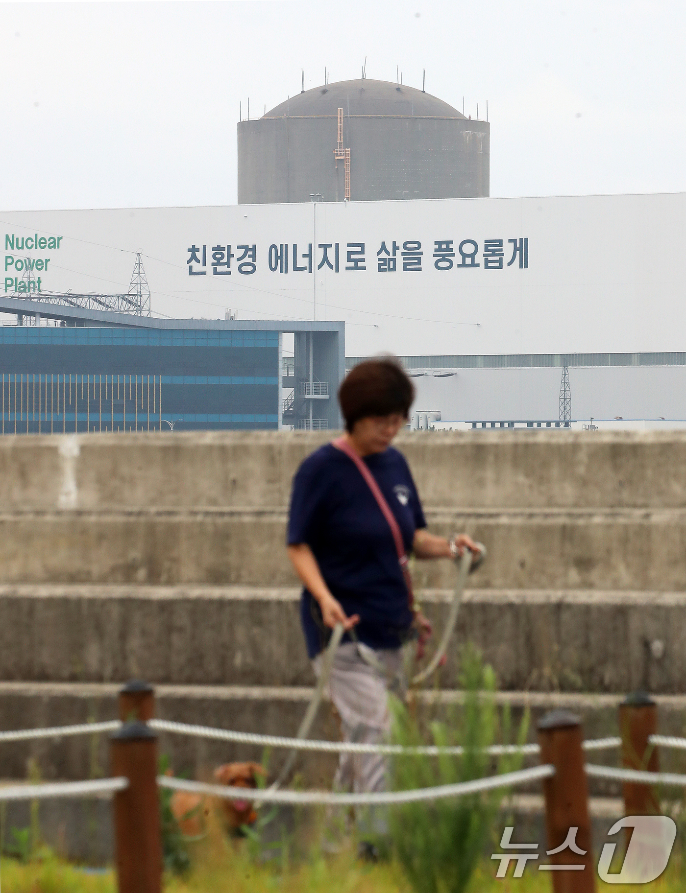 (부산=뉴스1) 윤일지 기자 = 원자력안전위원회가 25일 회의를 열고 부산 기장에 있는 원자력발전소 2호기 계속운전 허가 여부를 결정한다.영구 폐쇄가 되지 않은 원전 중 가장 오래 …