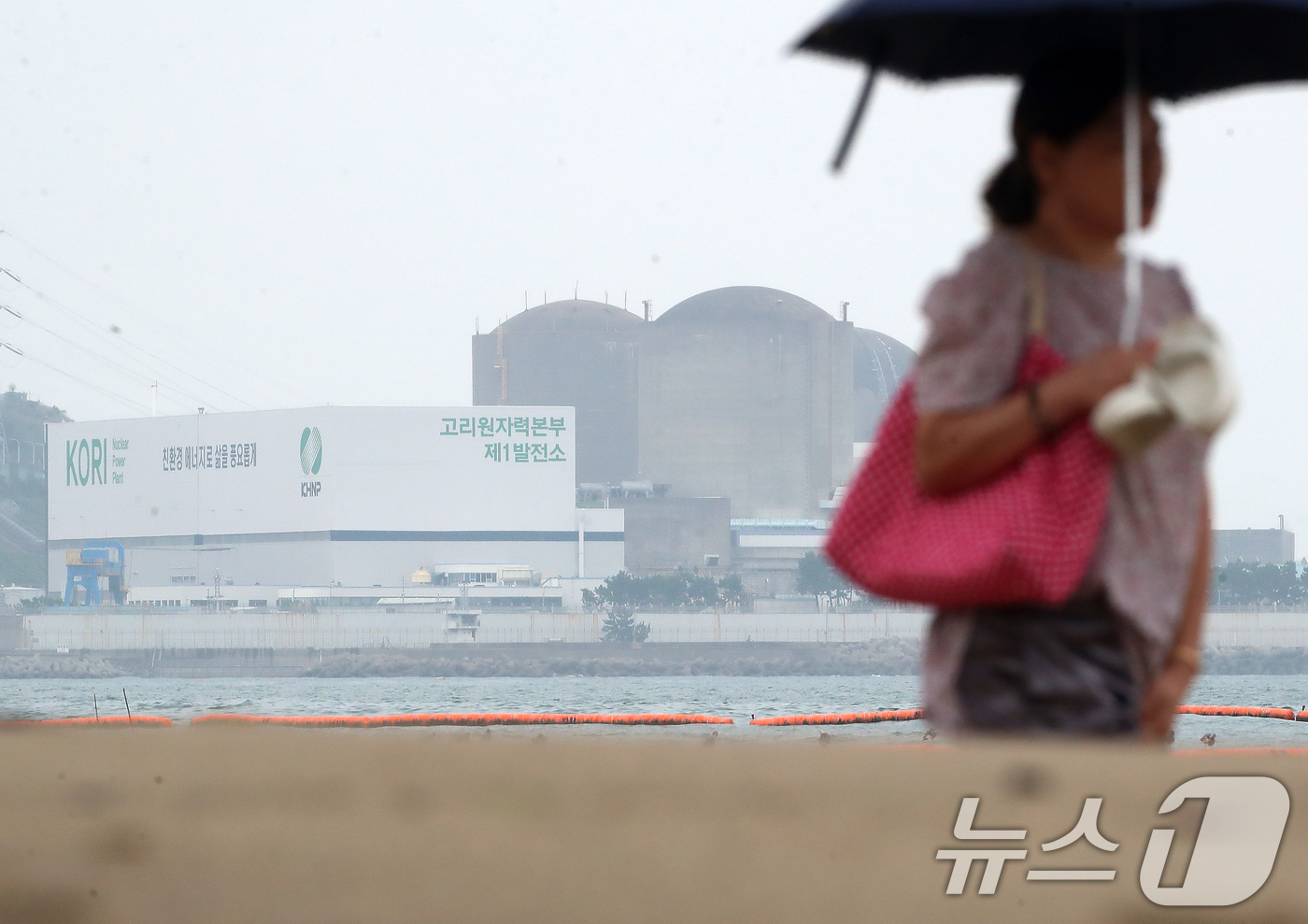 (부산=뉴스1) 윤일지 기자 = 원자력안전위원회가 25일 회의를 열고 부산 기장에 있는 원자력발전소 2호기 계속운전 허가 여부를 결정한다.영구 폐쇄가 되지 않은 원전 중 가장 오래 …