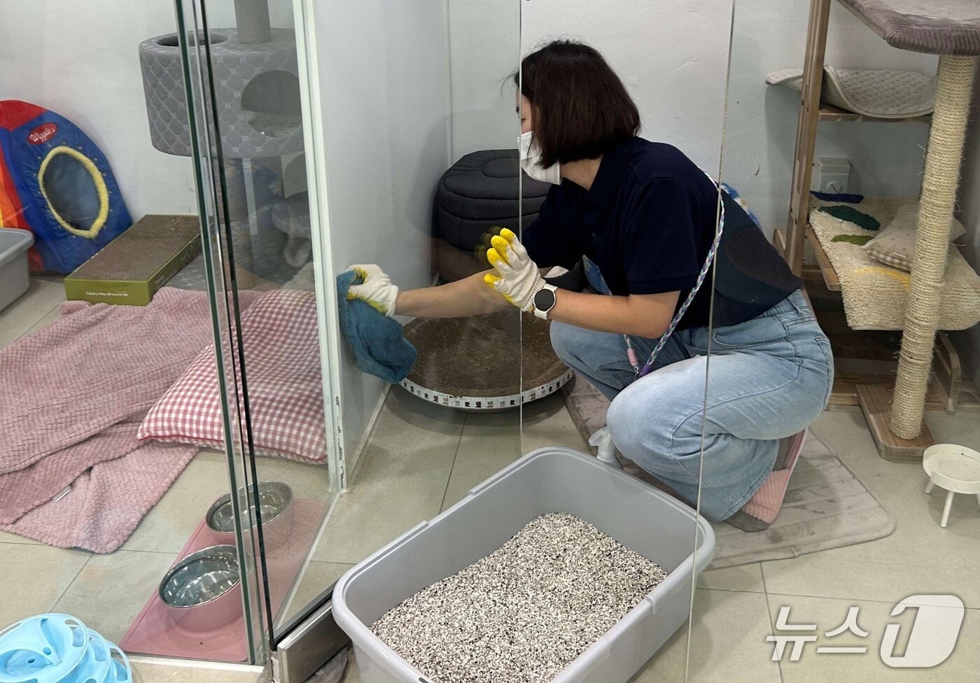 본문 이미지 - 네츄럴코어와 펫마트 임직원들은 24일 동물보호소에서 봉사활동을 진행했다(업체 제공). ⓒ 뉴스1