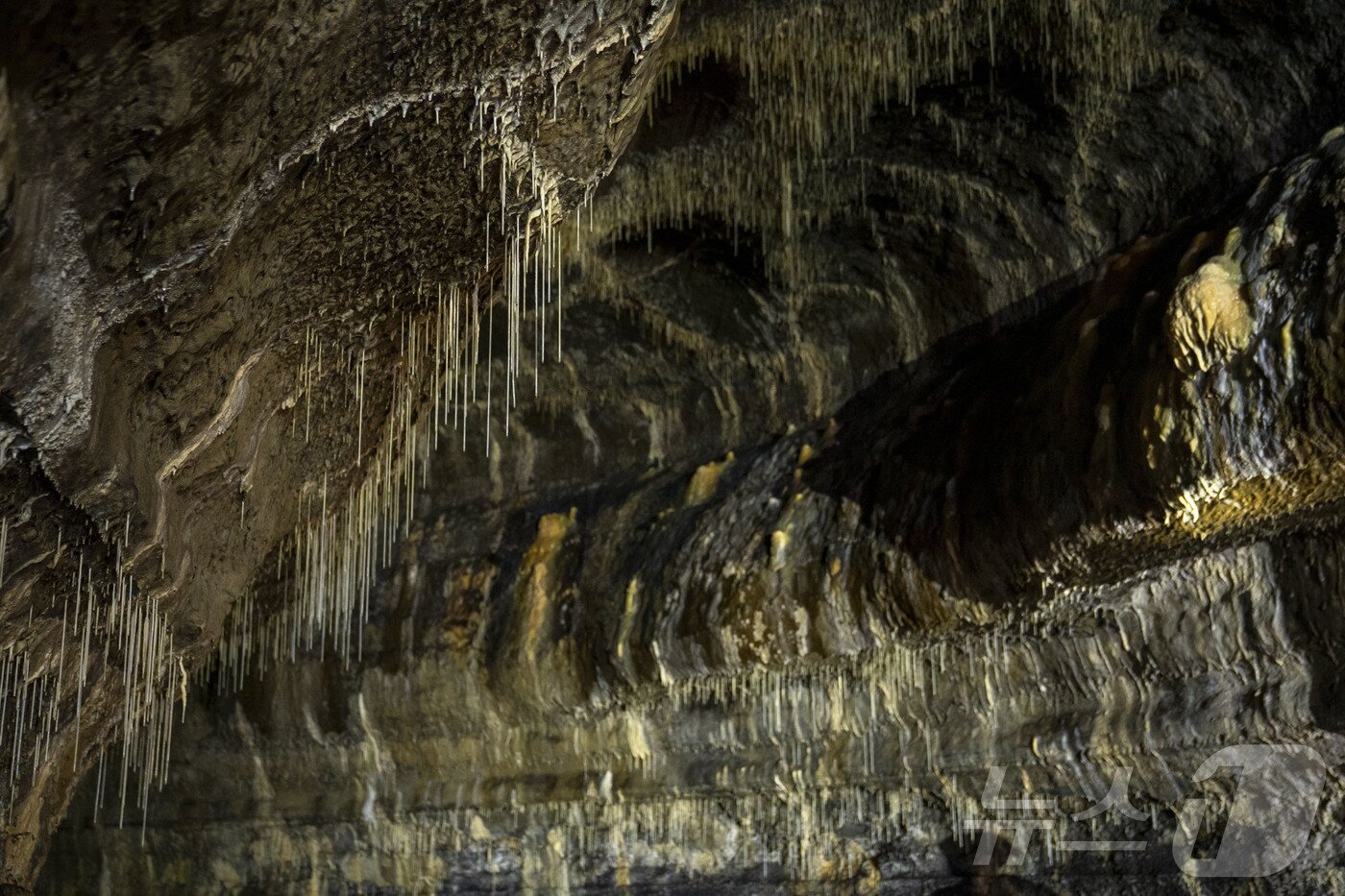 본문 이미지 - 25일 제주시 구좌읍 월정리에 있는 천연기념물 용천동굴이 국가유산 방문의 해를 맞아 언론에 특별공개되고 있다. 2025.9.25/뉴스1 ⓒ News1 오미란 기자
