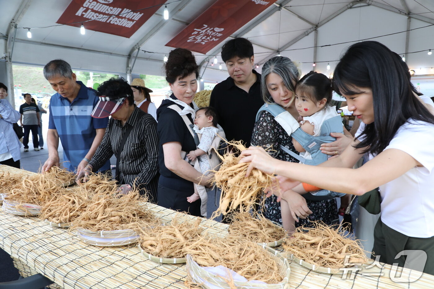 본문 이미지 - 제43회 금산세계인삼축제(금산군 제공.재판매 및 DB금지)/뉴스1 
