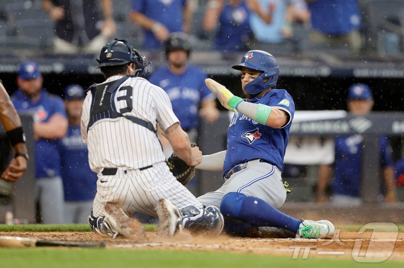 본문 이미지 - 토론토 블루제이스&#40;오른쪽&#41;와 뉴욕 양키스는 아메리칸리그 동부지구 공동 선두에 올라있다. ⓒ AFP=뉴스1