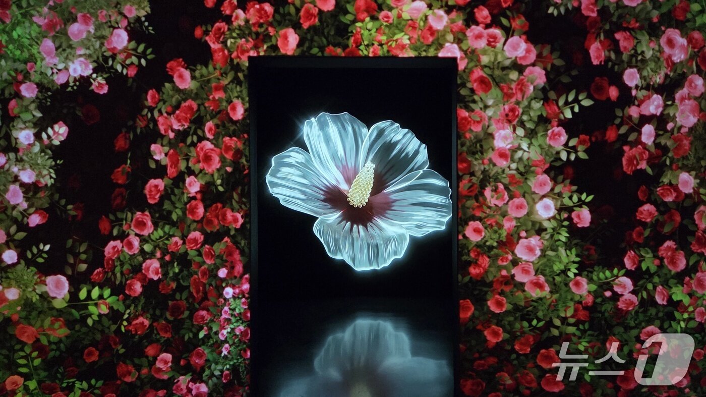 본문 이미지 - &#39;아르떼뮤지엄뉴욕&#39;에 전시되고 있는 미디어아트 작품 &#39;꽃&#39; 2025.9.25/ⓒ뉴스1 이정후 기자