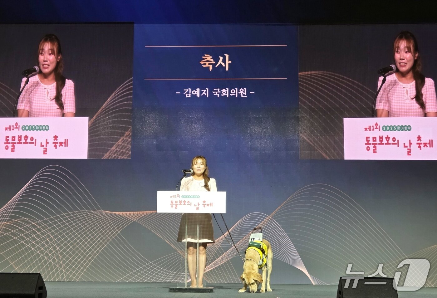 본문 이미지 - &#39;제1회 동물보호의 날&#39;이 26일 부산 벡스코에서 열렸다. ⓒ 뉴스1 한송아 기자