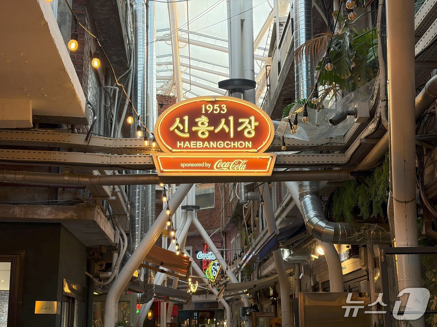 본문 이미지 - &#39;싱글 카메라&#39;이지만 일상 사진을 찍기는 데는 크게 문제가 없다. 2025.9.26/뉴스1 ⓒ News1 이기범 기자