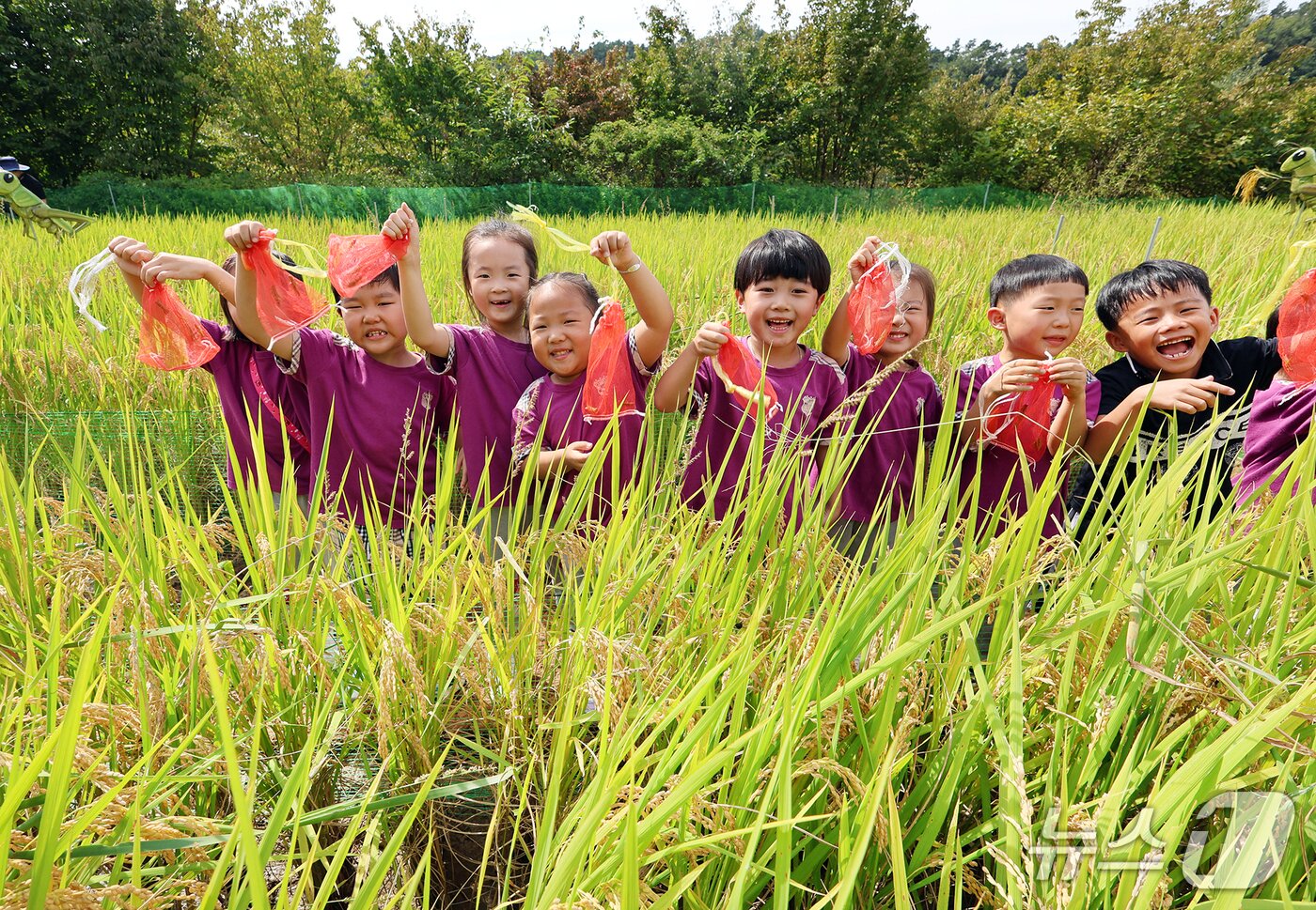 본문 이미지 - 전북 완주군의 대표 축제인 &#39;제13회 와일드&로컬푸드 축제&#39;가 26일 개막했다.&#40;완주군 제공. 재판매 및 DB금지&#41;2025.9.26/뉴스1