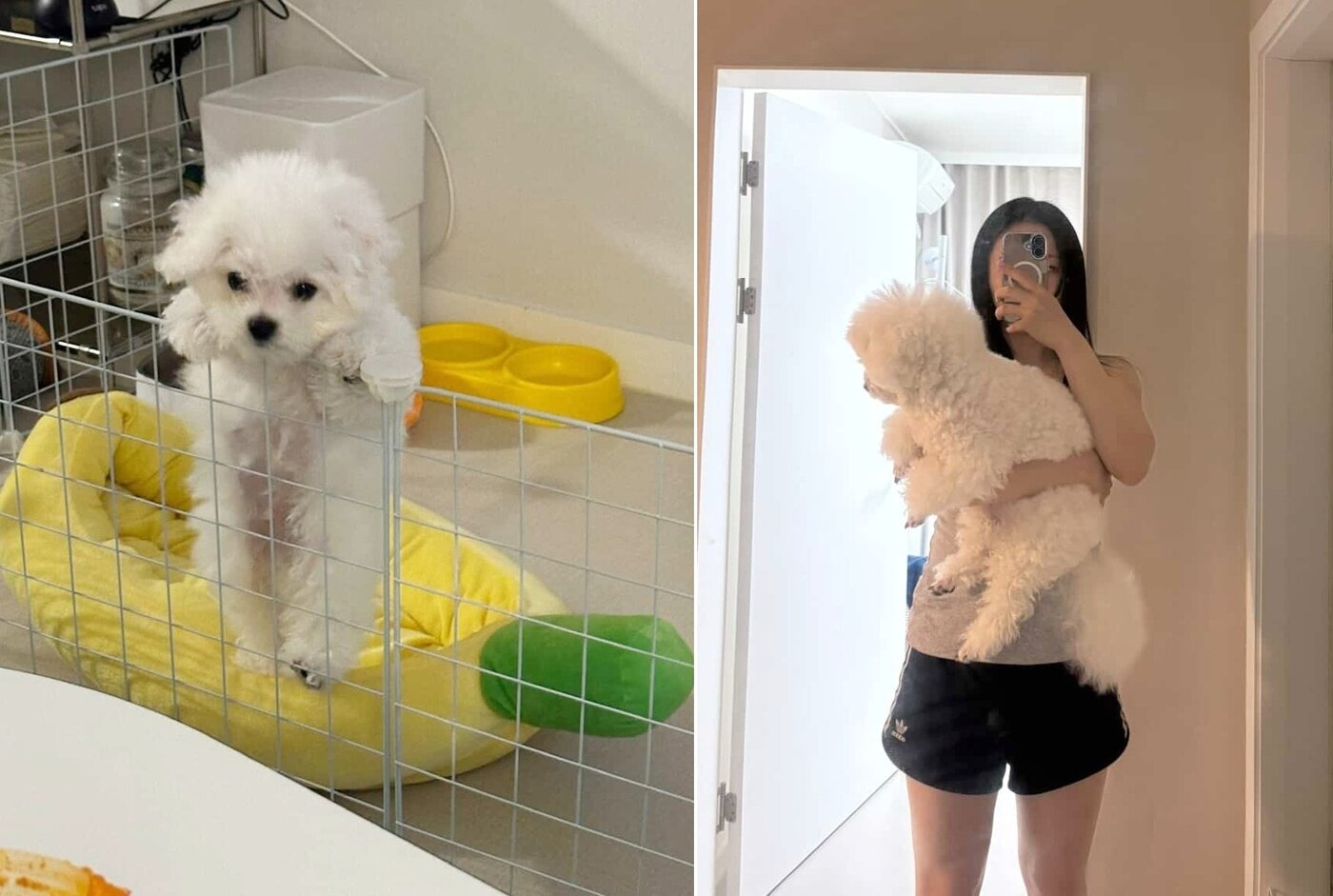 본문 이미지 - 이름처럼 쑥쑥 자란 동석이&#40;인스타그램 hdong._.s 제공&#41; ⓒ 뉴스1