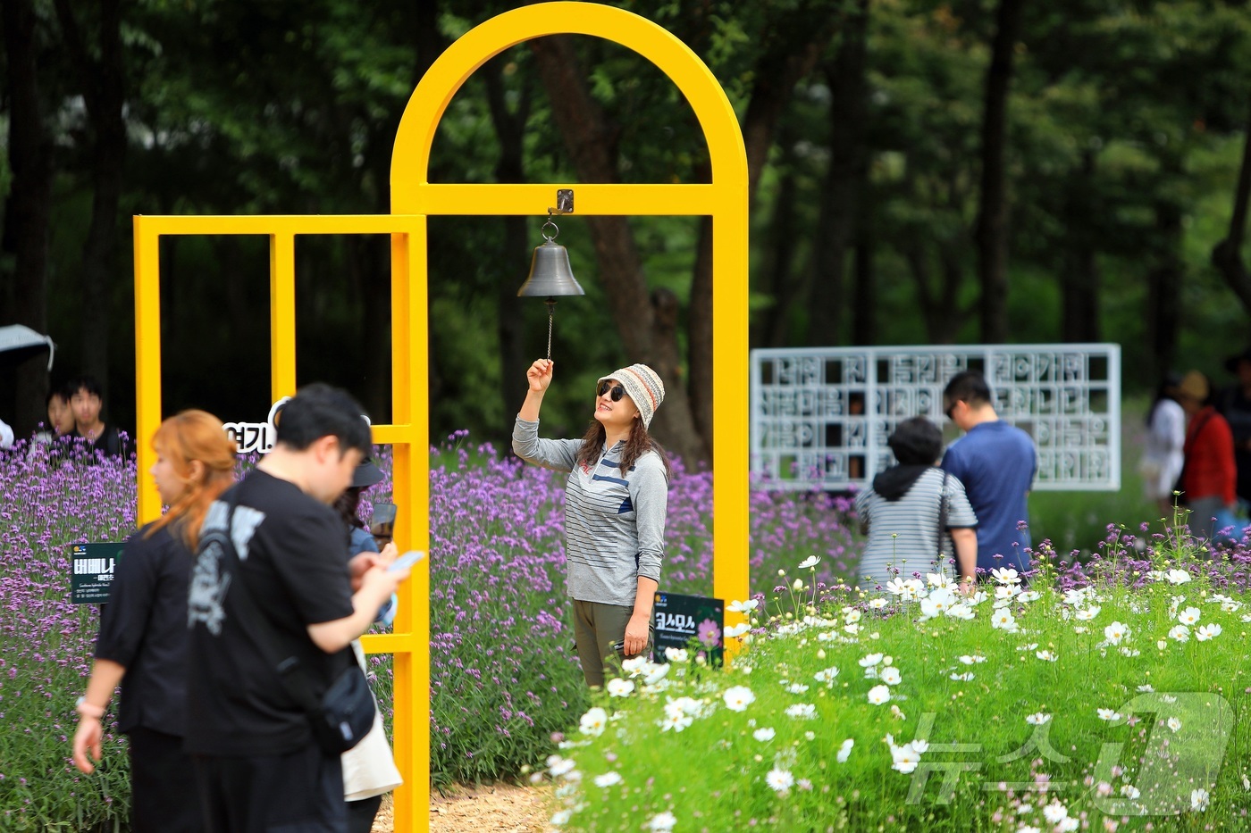 (인제=뉴스1) 이종재 기자 = 가을의 정취를 담은 \'2025 인제 가을꽃 축제\'가 27일 개막했다. 올해로 7회째를 맞는 \'가을꽃 축제\'는 이달 27일부터 10월 19일까 …