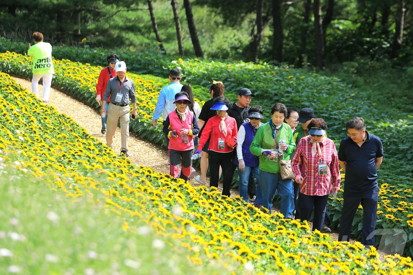 (인제=뉴스1) 이종재 기자 = 가을의 정취를 담은 \'2025 인제 가을꽃 축제\'가 27일 개막했다. 올해로 7회째를 맞는 \'가을꽃 축제\'는 이달 27일부터 10월 19일까 …