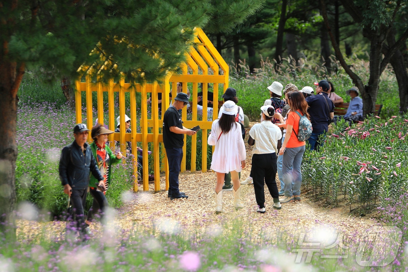 (인제=뉴스1) 이종재 기자 = 가을의 정취를 담은 \'2025 인제 가을꽃 축제\'가 27일 개막했다. 올해로 7회째를 맞는 \'가을꽃 축제\'는 이달 27일부터 10월 19일까 …