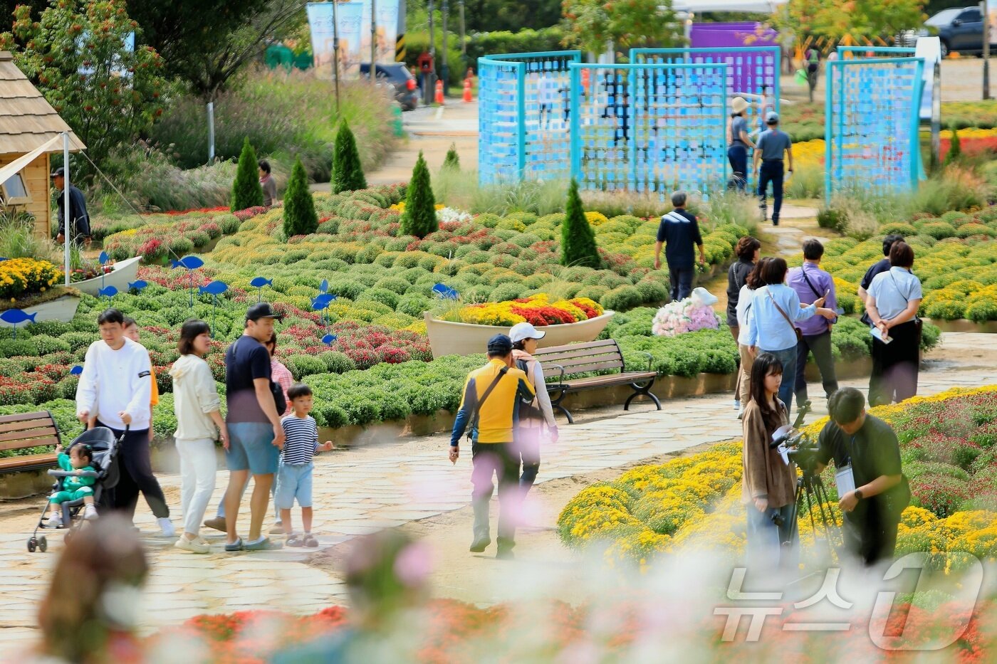 본문 이미지 - 가을의 정취를 담은 &#39;2025 인제 가을꽃 축제&#39;가 지난 27일 개막했다. 올해로 7회째를 맞는 &#39;가을꽃 축제&#39;는 10월 19일까지 23일간 인제군 북면 용대 관광지 일원에서 열린다.&#40;인제군 제공. 재판매 및 DB금지&#41;/ 2025.9.27/뉴스1 ⓒ News1 이종재 기자