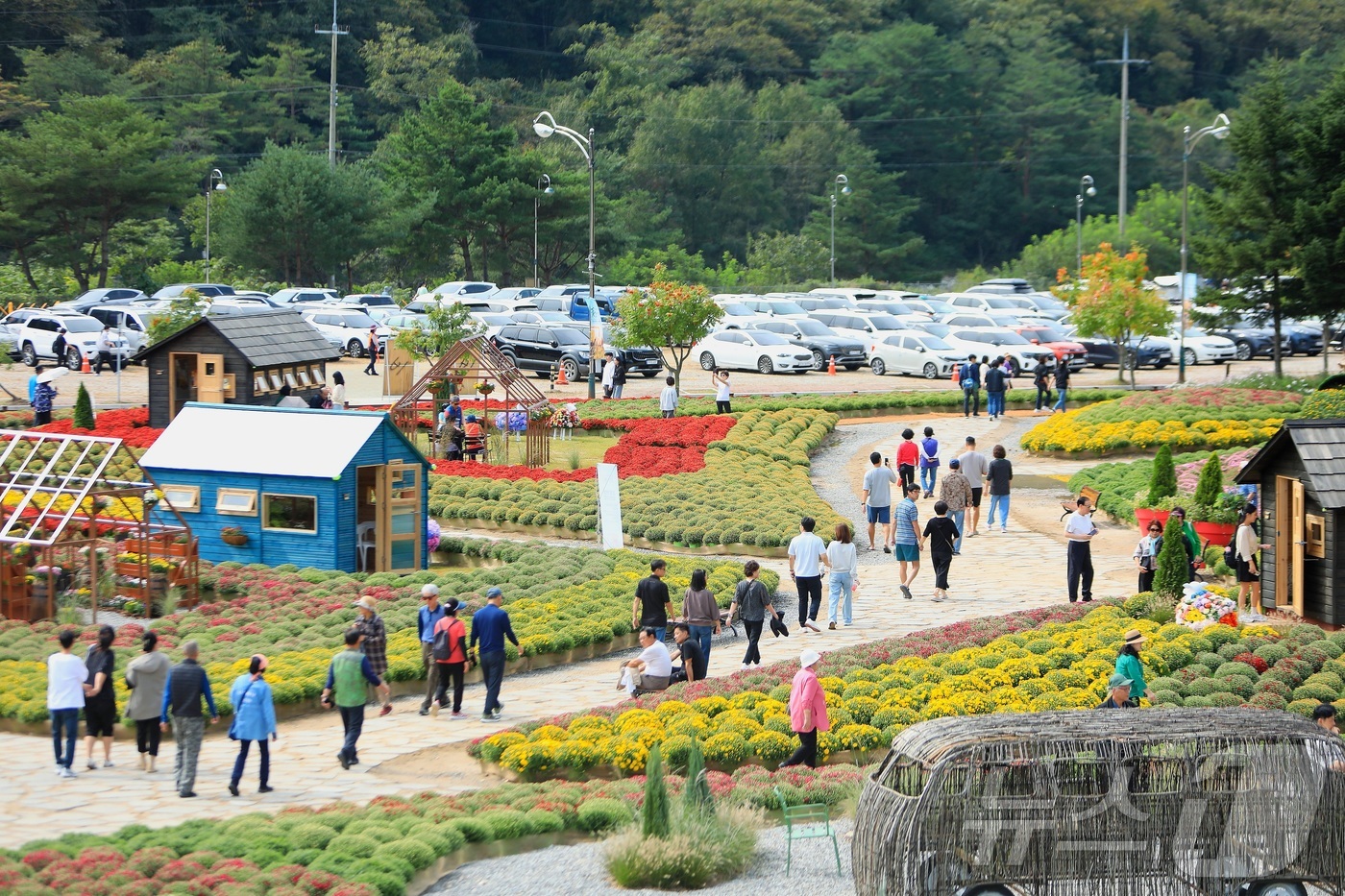 (인제=뉴스1) 이종재 기자 = 가을의 정취를 담은 '2025 인제 가을꽃 축제'가 27일 개막했다. 올해로 7회째를 맞는 '가을꽃 축제'는 이달 27일부터 10월 19일까지 23 …
