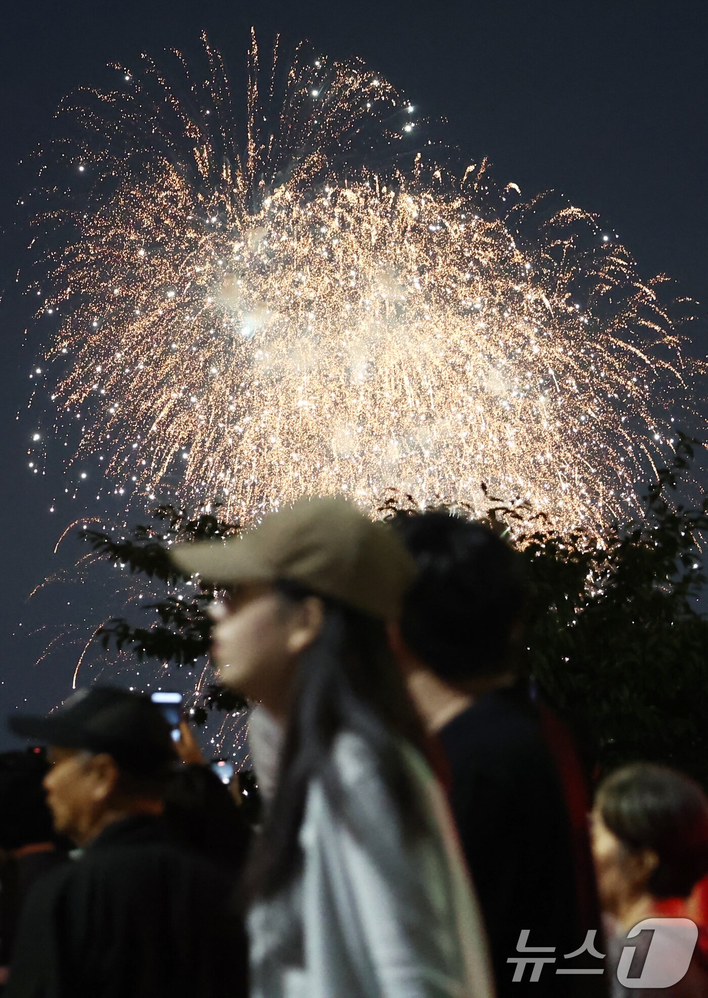 본문 이미지 - 27일 서울 여의도 한강공원 일대 밤하늘이 '2025 서울세계불꽃축제'의 불꽃쇼로 화려함을 뽐내고 있다. 2025.9.27/뉴스1 ⓒ News1 김민지 기자