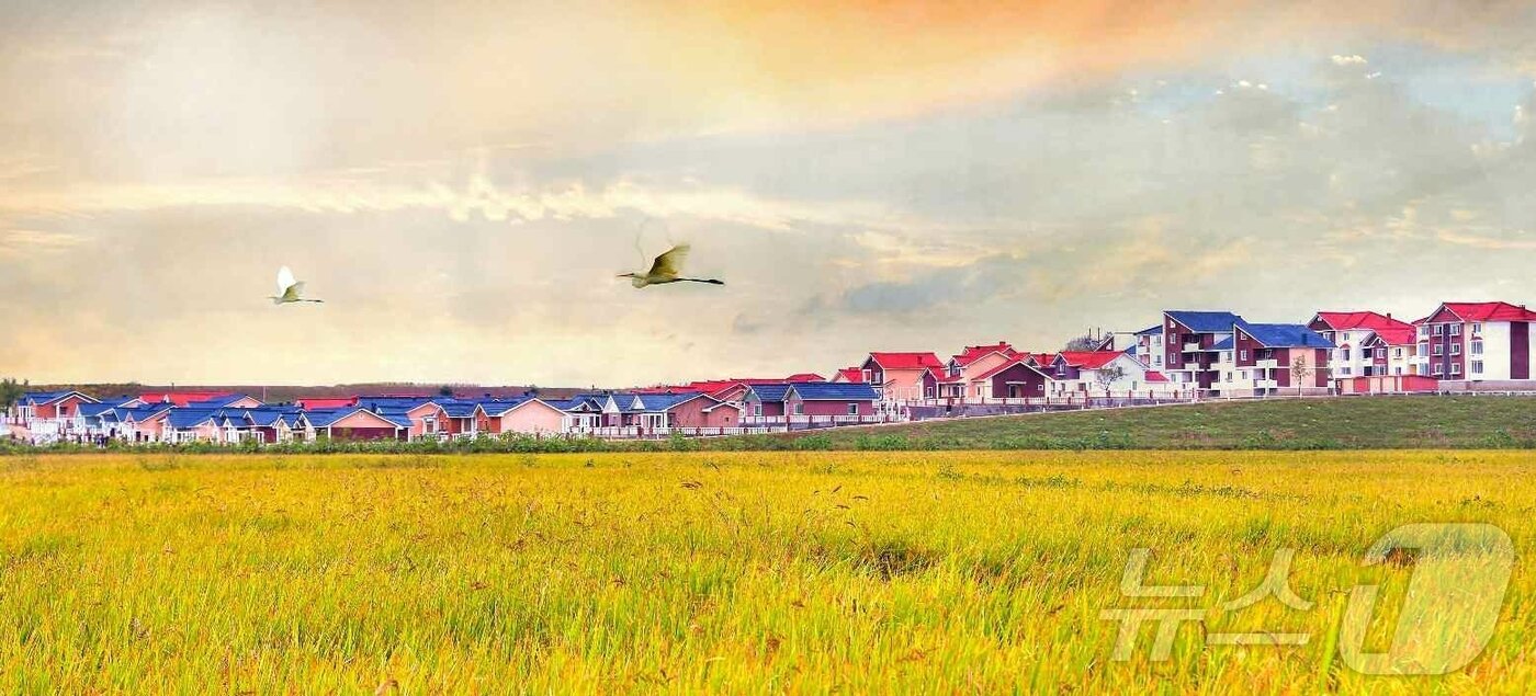 본문 이미지 - &#40;평양 노동신문=뉴스1&#41; = 북한 노동당 기관지 노동신문은 29일 &#34;강남군 장교리의 농업근로자들이 지난해에 이어 또다시 새집들이경사를 맞이하였다＂며 ＂살림집입사모임이 28일 현지에서 진행되였다＂고 보도했다. [국내에서만 사용가능. 재배포 금지. DB 금지. For Use Only in the Republic of Korea. Redistribution Prohibited] rodongphoto@news1.kr