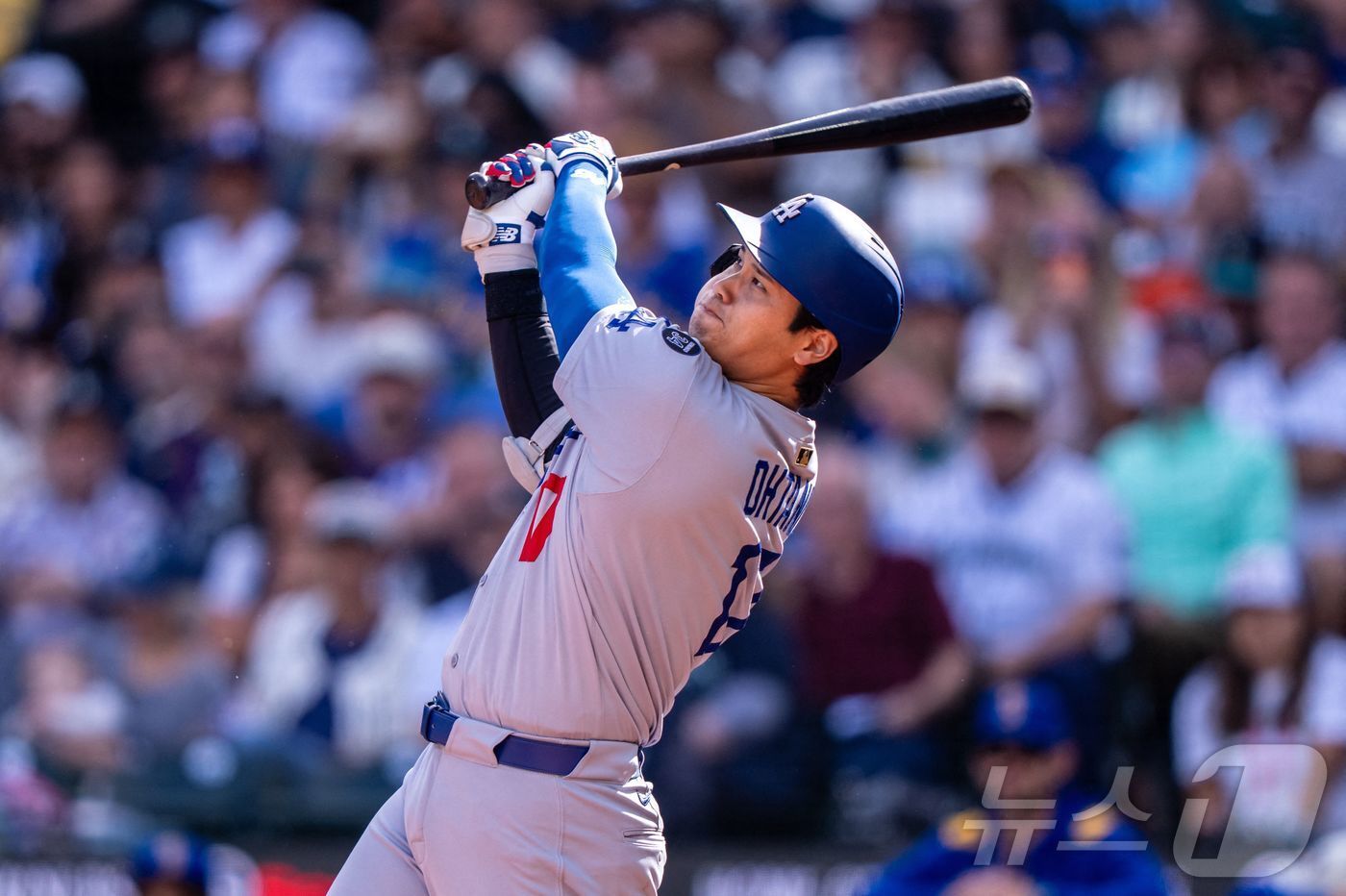 본문 이미지 - LA 다저스 오타니 쇼헤이가 29일&#40;한국시간&#41; 열린 2025 메이저리그 시애틀 매리너스전에서 개인 시즌 최다 55호 홈런을 터뜨렸다 ⓒ AFP=뉴스1