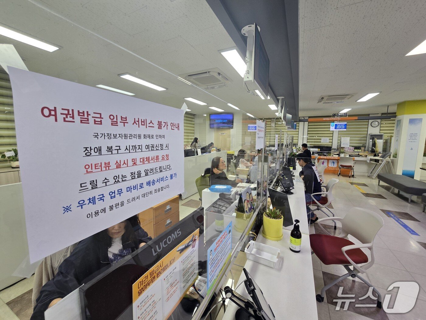 본문 이미지 - 29일 오전 제주도청 민원실.2025.9.29/뉴스1ⓒ 뉴스1 고동명 기자