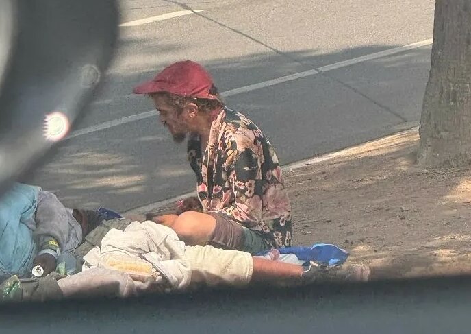 본문 이미지 - (보어드판다 갈무리)