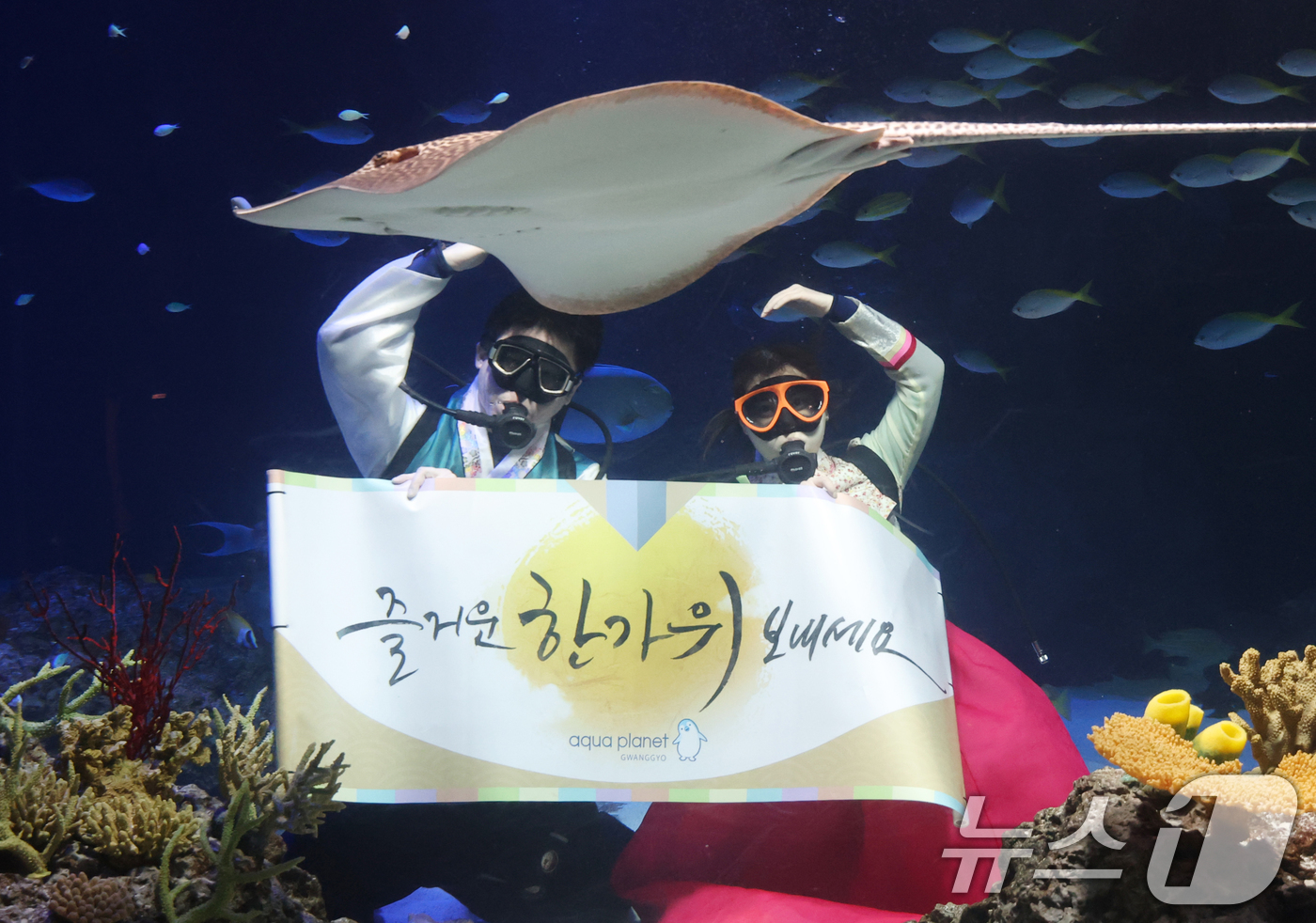 (수원=뉴스1) 김영운 기자 = 추석 연휴를 앞둔 29일 경기 수원시 영통구 아쿠아플라넷 광교에서 한복을 입은 아쿠아리스트들이 추석 명절 인사를 하고 있다. 2025.9.29/뉴스 …